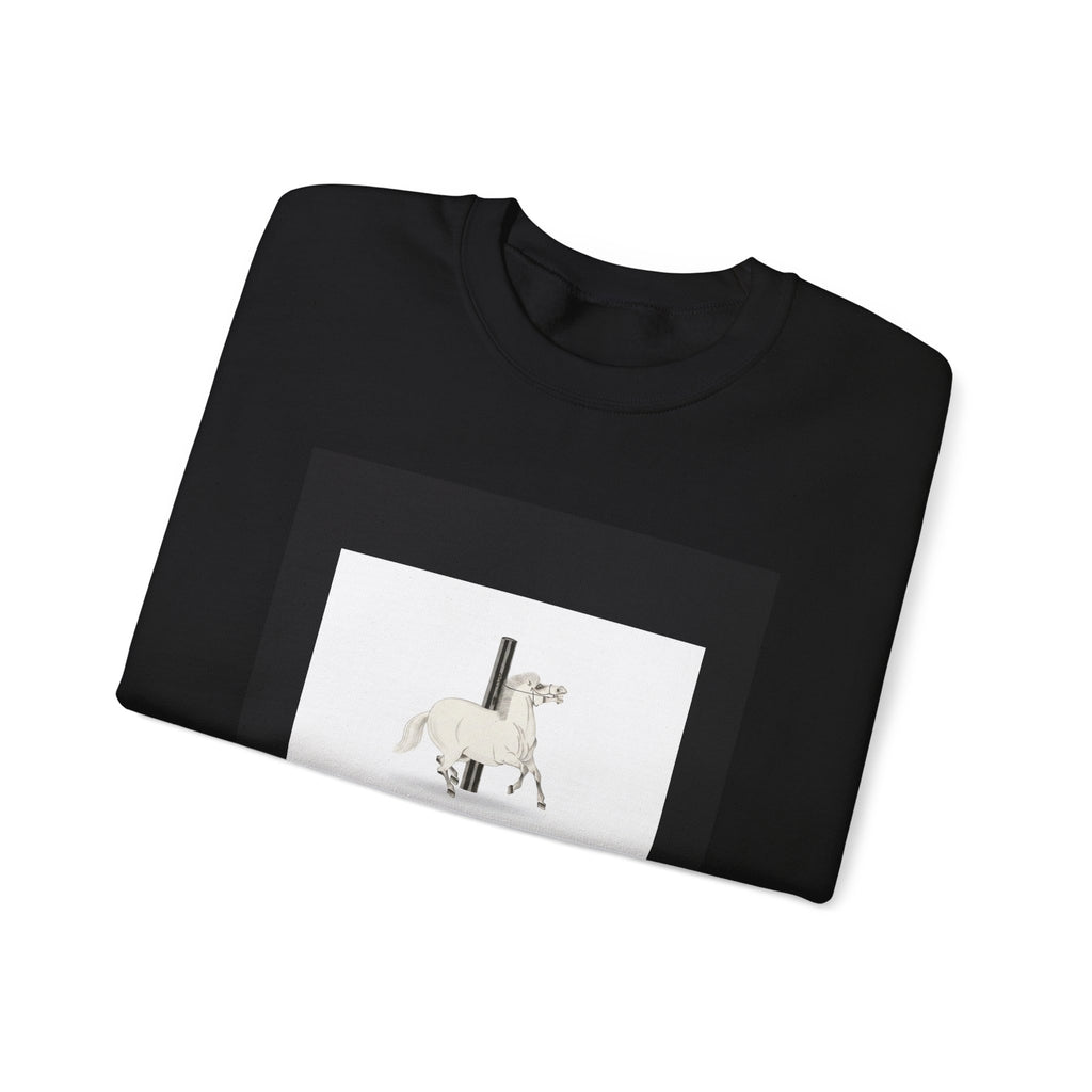 URBAN LEGEND crewneck sweatshirt — product view 11