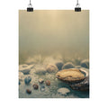 Scenic Nature — Shells Under Water — Matte Poster