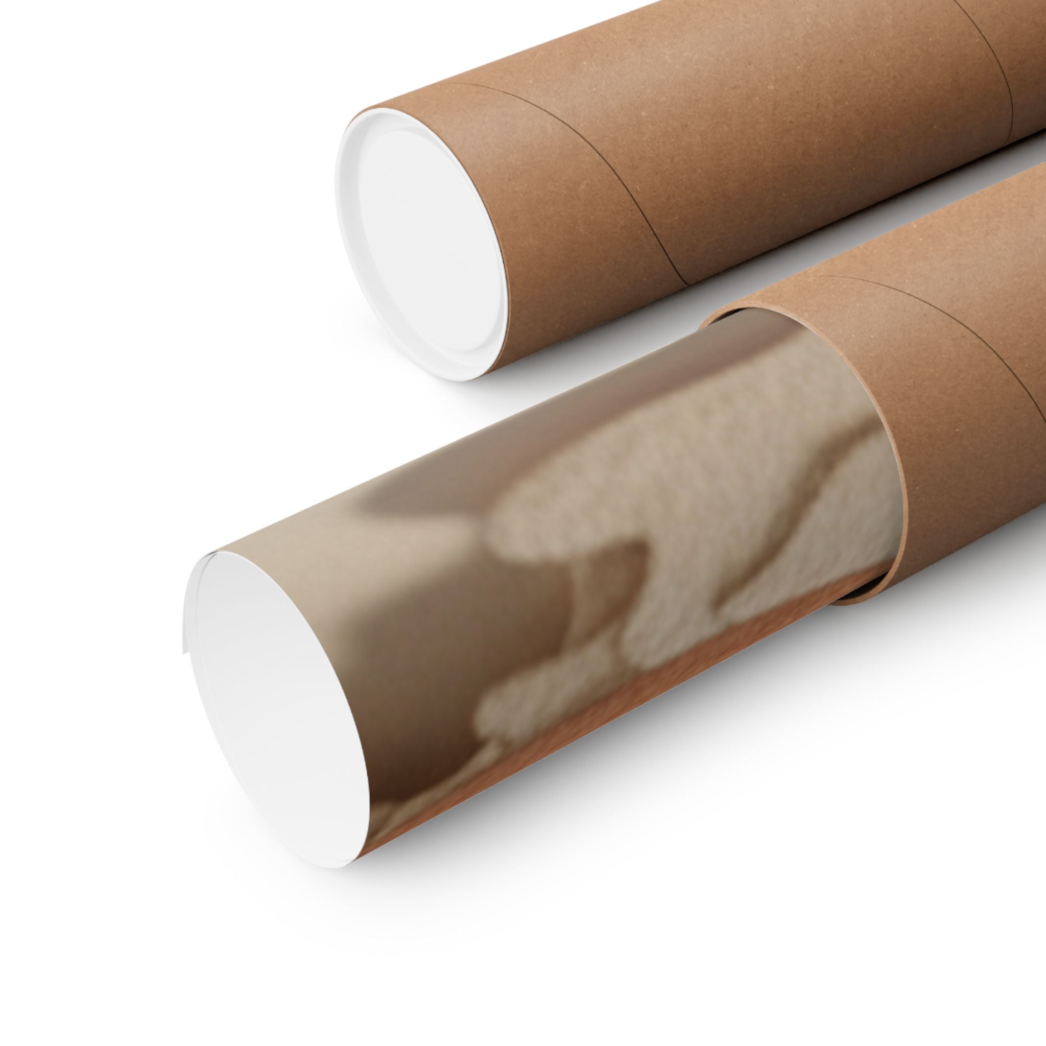 Product Marketing — Belt And Fan On A Piece Of Cloth — Matte Poster