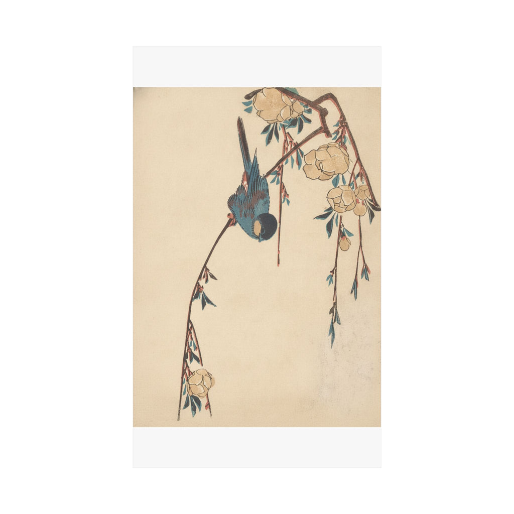 Botanical — Weeping Cherry — Matte Poster