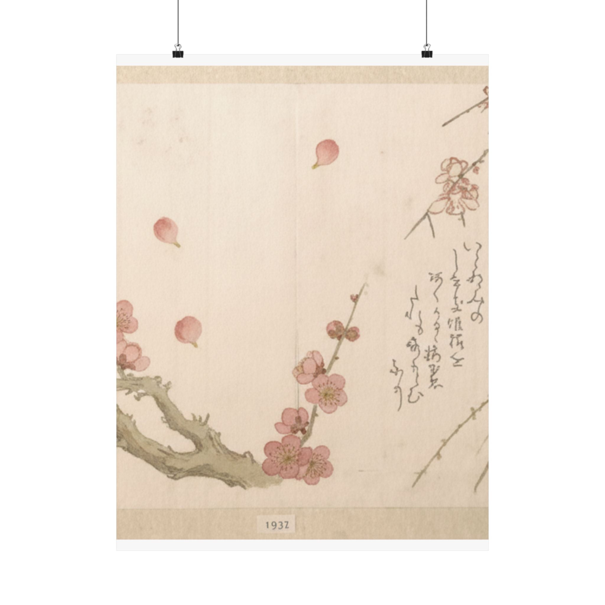 Botanical — Plum Blossom — Matte Poster
