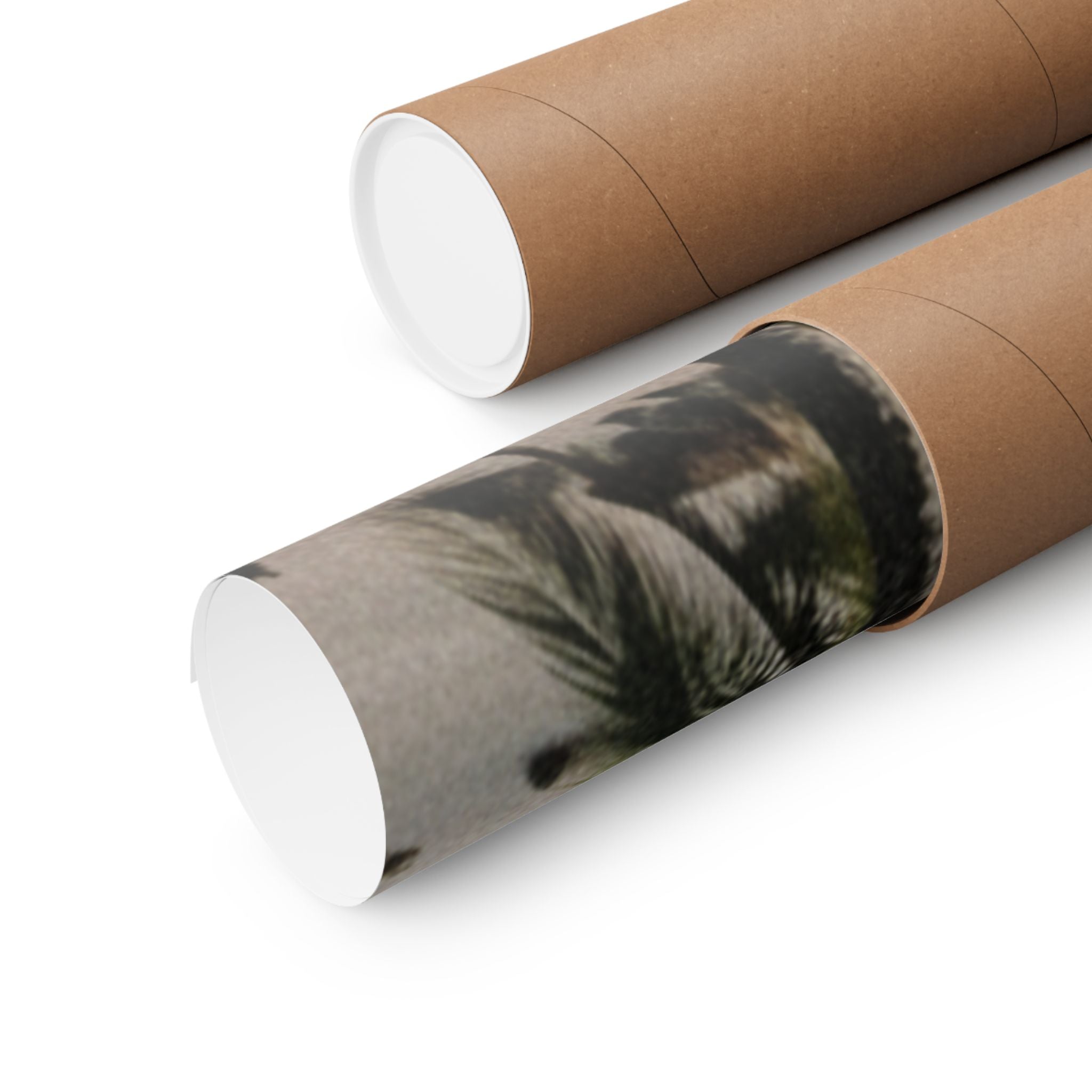 Cinematic — Palm — Matte Poster