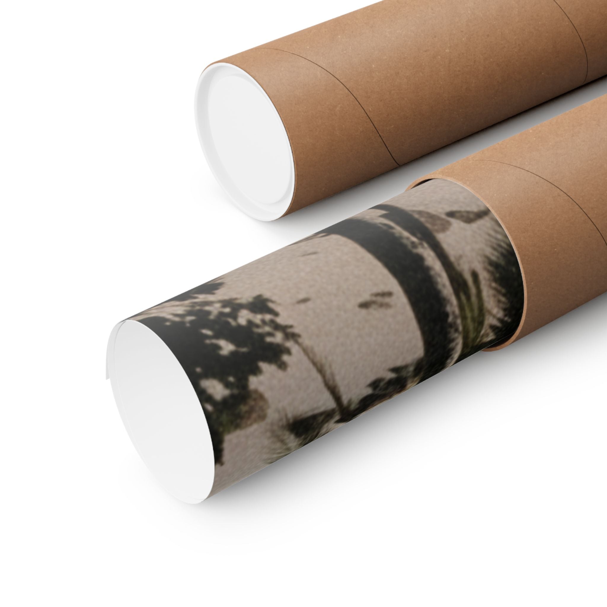 Cinematic — Palm — Matte Poster