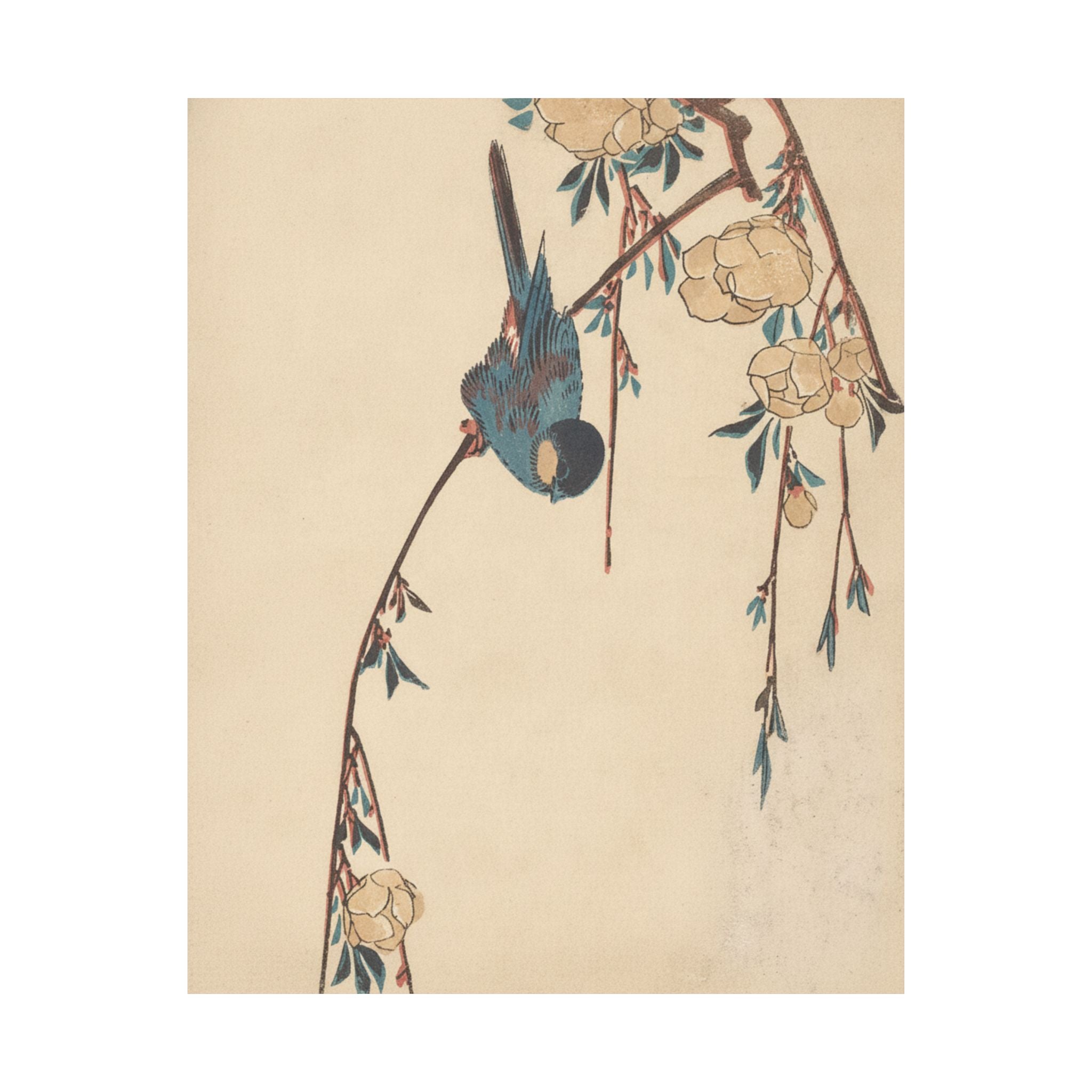 Botanical — Weeping Cherry — Matte Poster