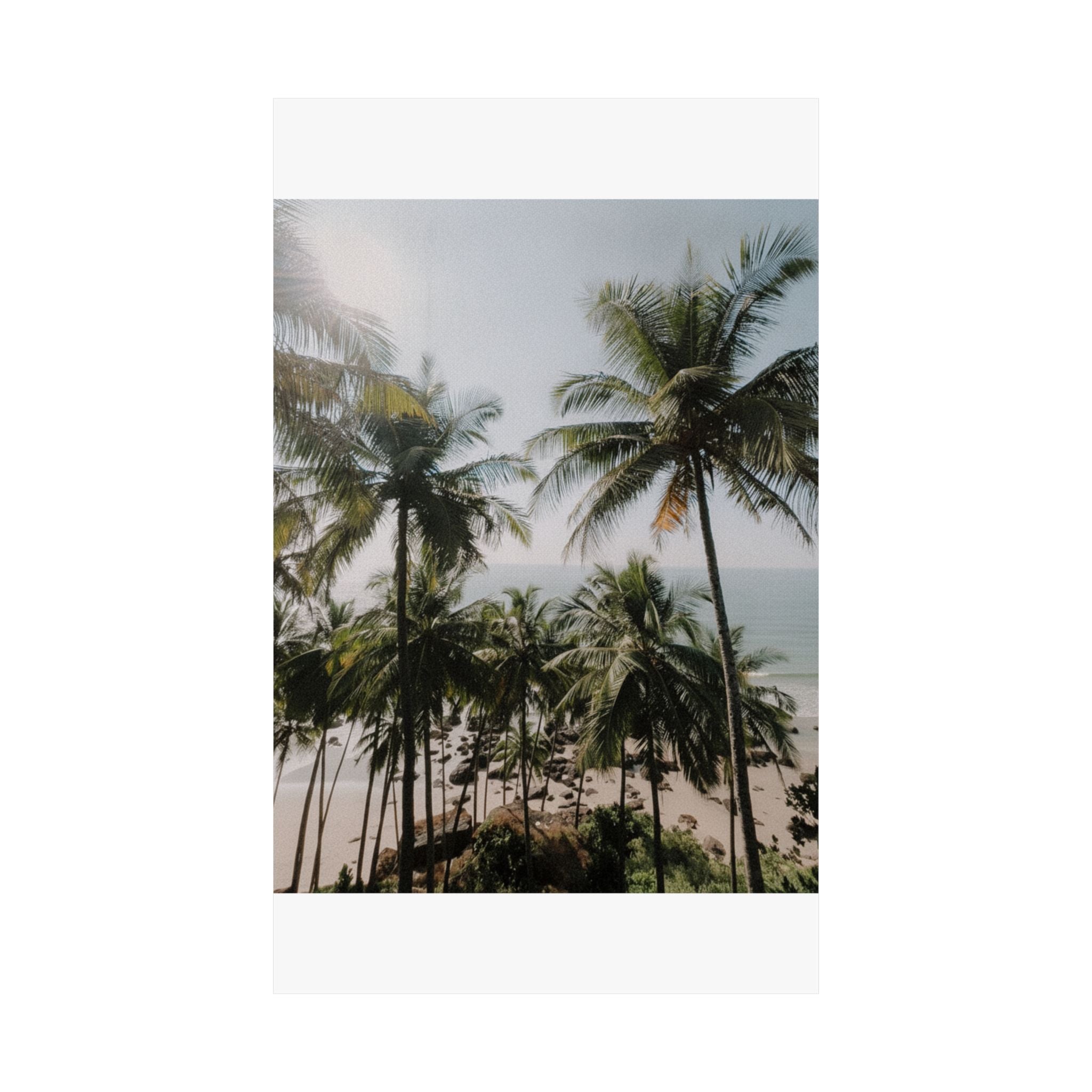 Cinematic — Palm — Matte Poster