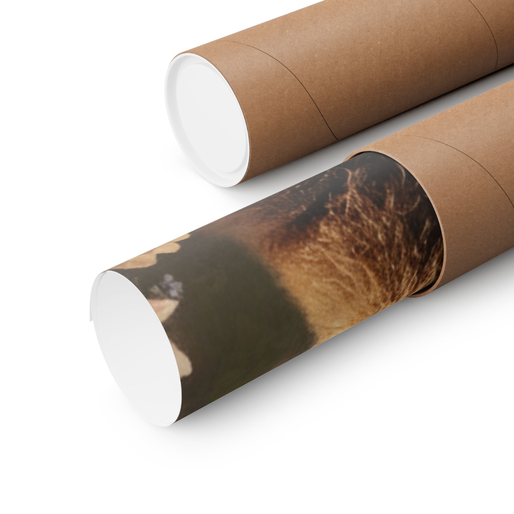 Scenic Nature — Bear — Matte Poster