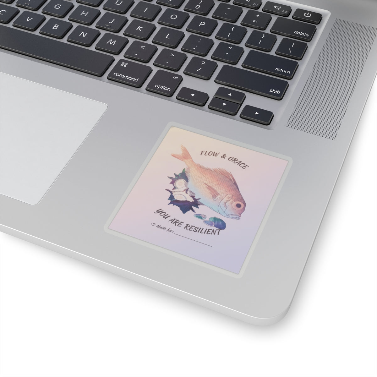 Affirmation — Tai Fish And Top-Shells — Kiss-Cut Sticker