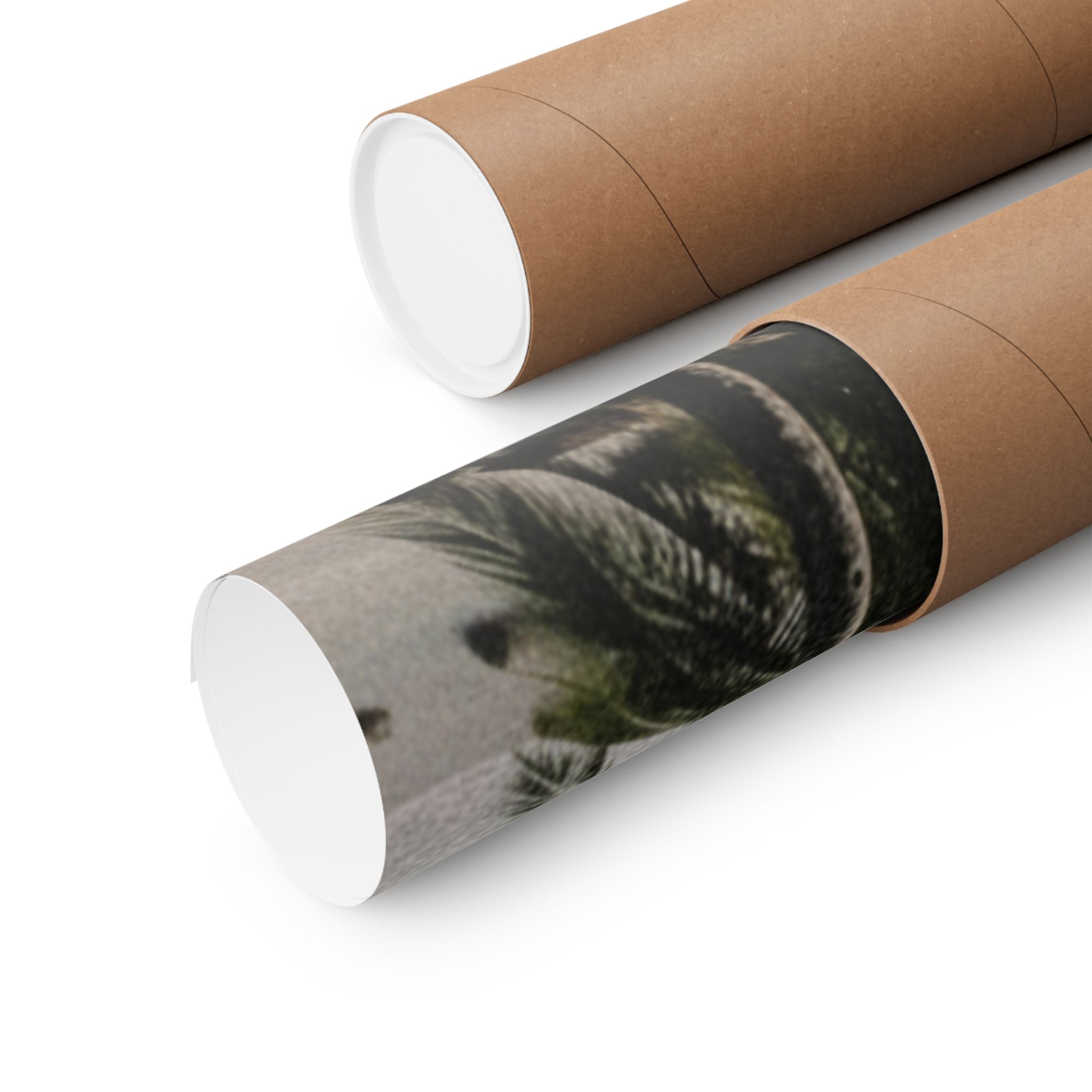 Cinematic — Palm — Matte Poster