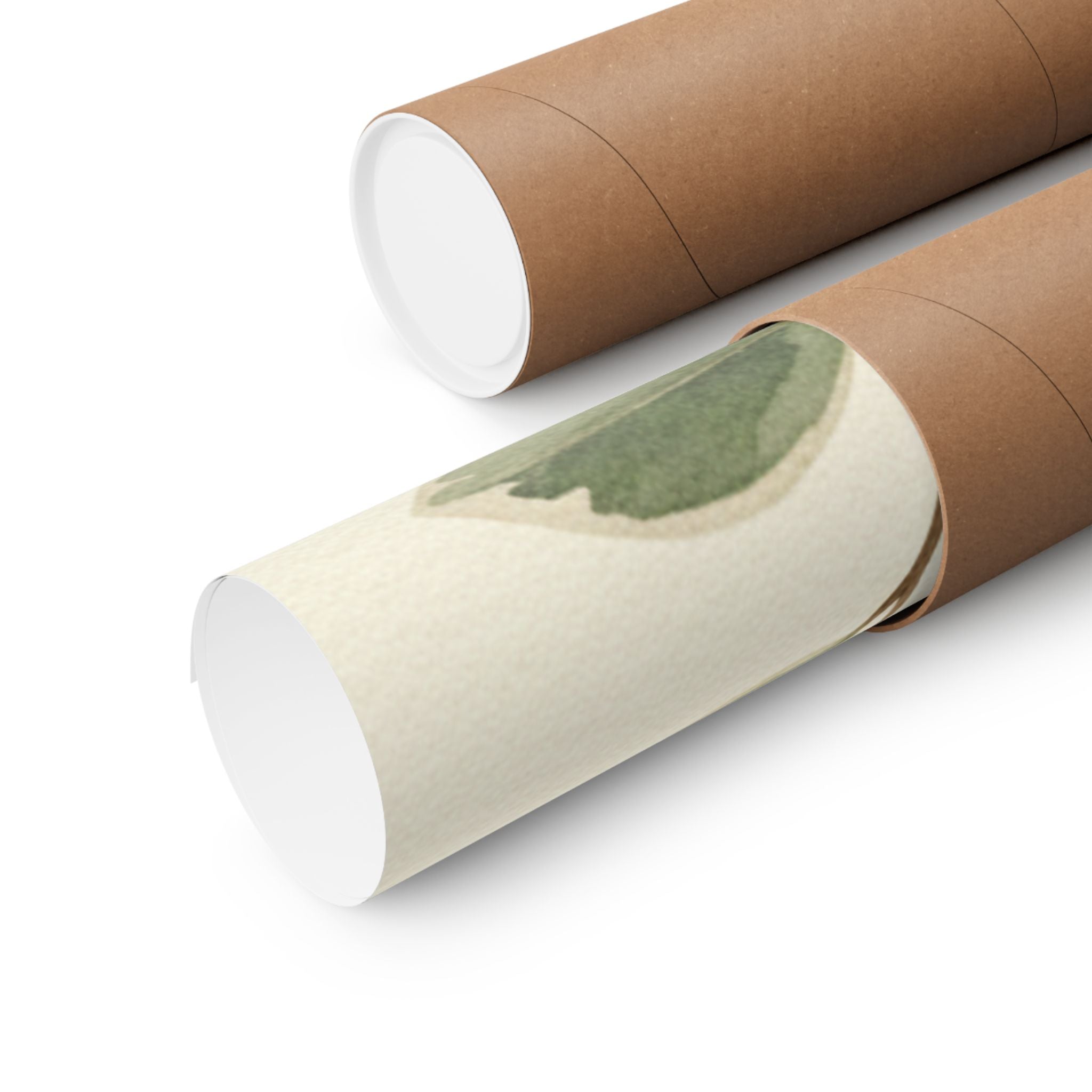 Botanical — Plant — Matte Poster