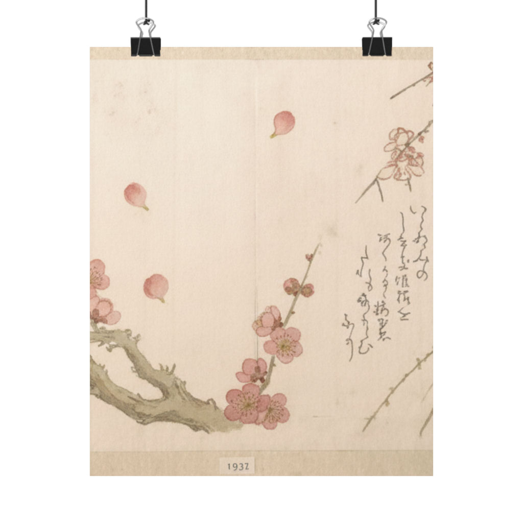 Botanical — Plum Blossom — Matte Poster