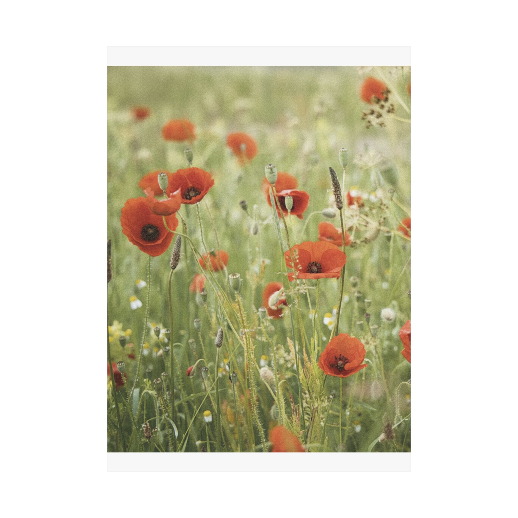 Watercolor — Flower — Matte Poster