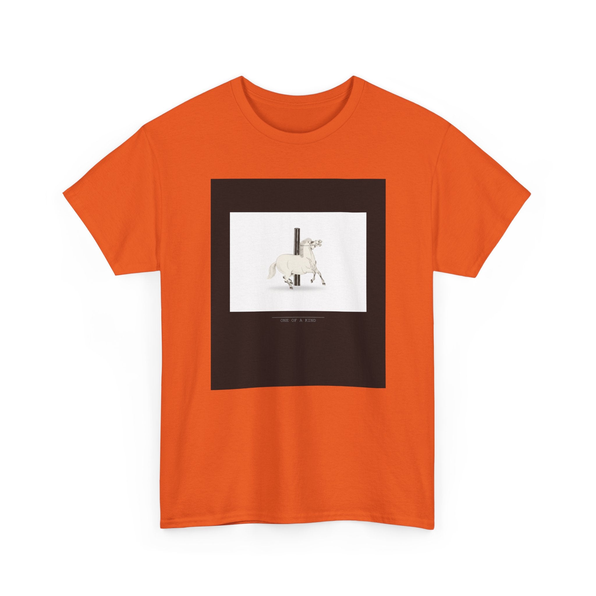URBAN LEGEND graphic tee — product view 25