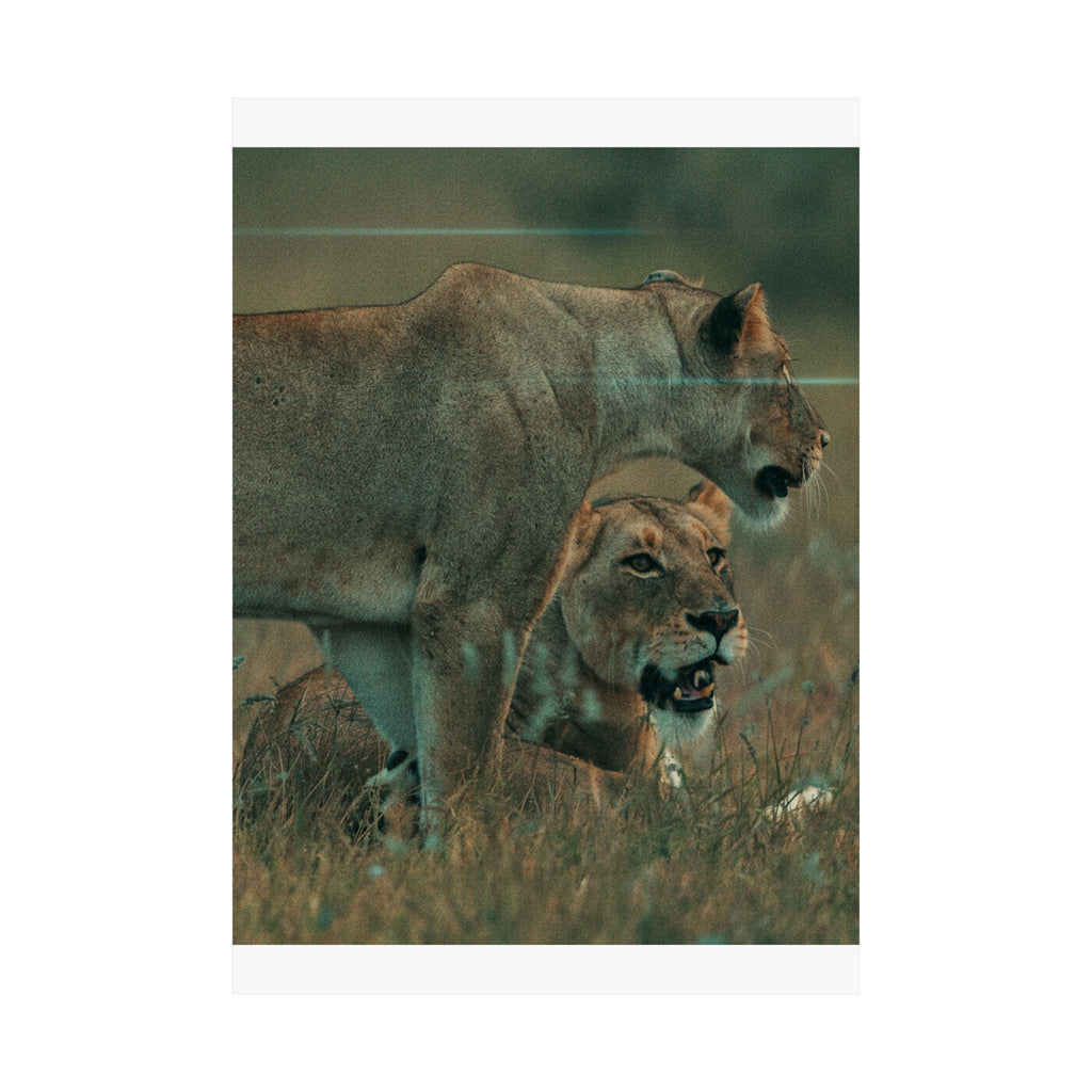 Cinematic — Lions — Matte Poster
