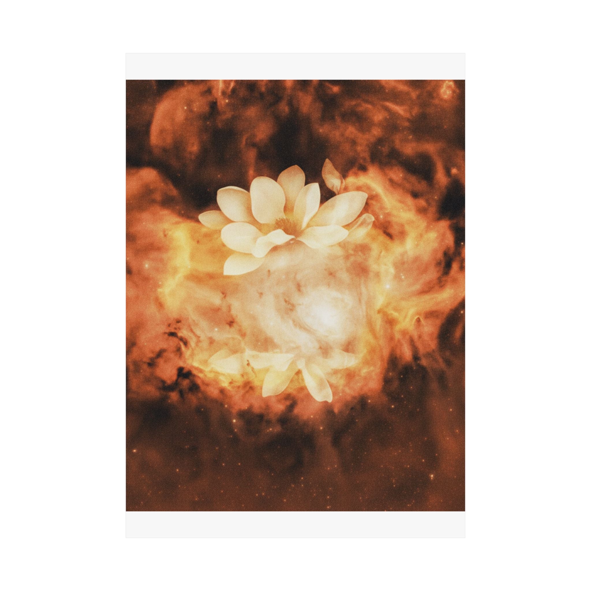 Southern Sunset — Object — Matte Poster