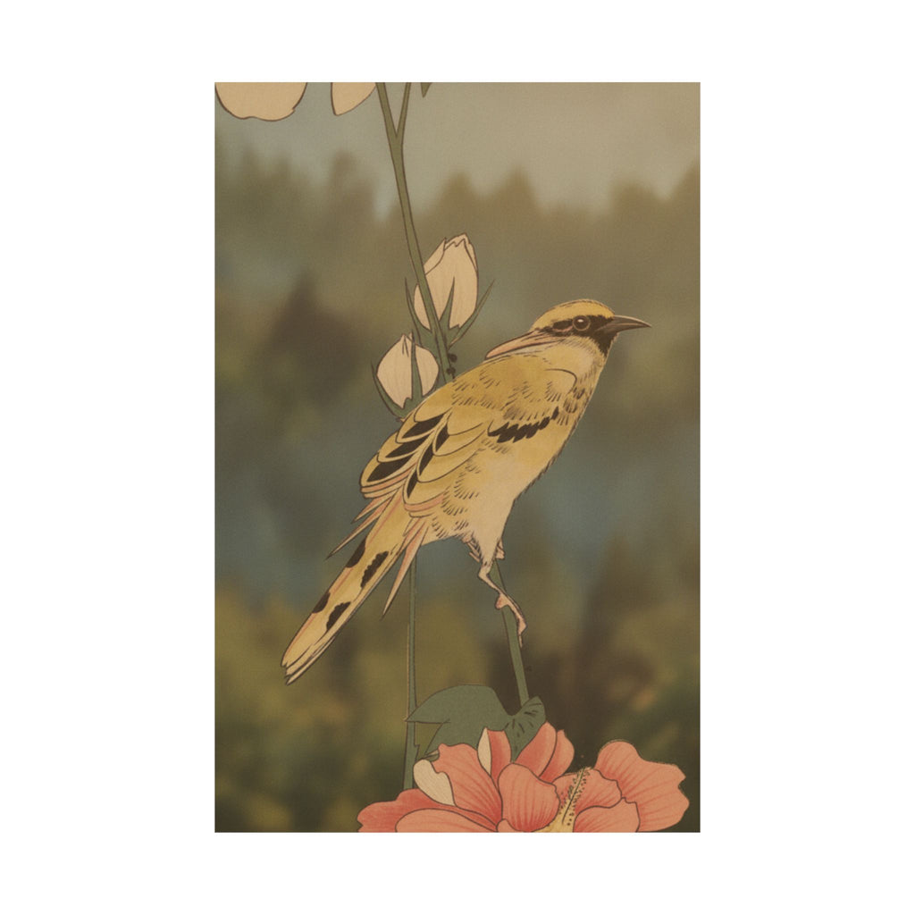 Scenic Nature — Black-Naped Oriole Perched On A Stem Of Rose Mallow — Matte Poster