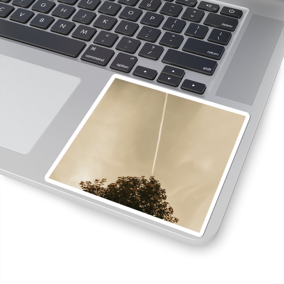 Scenic Nature kiss-cut sticker — product view 7