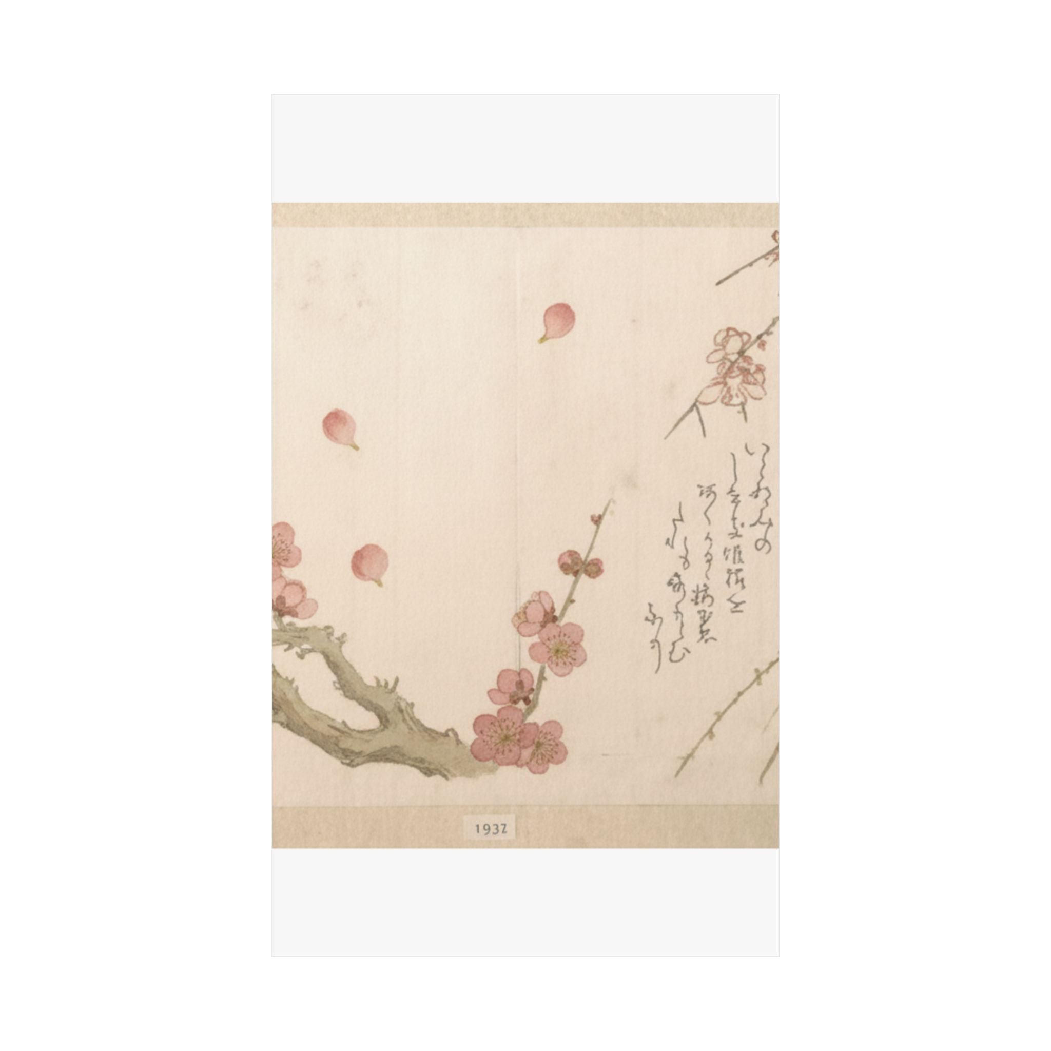 Botanical — Plum Blossom — Matte Poster