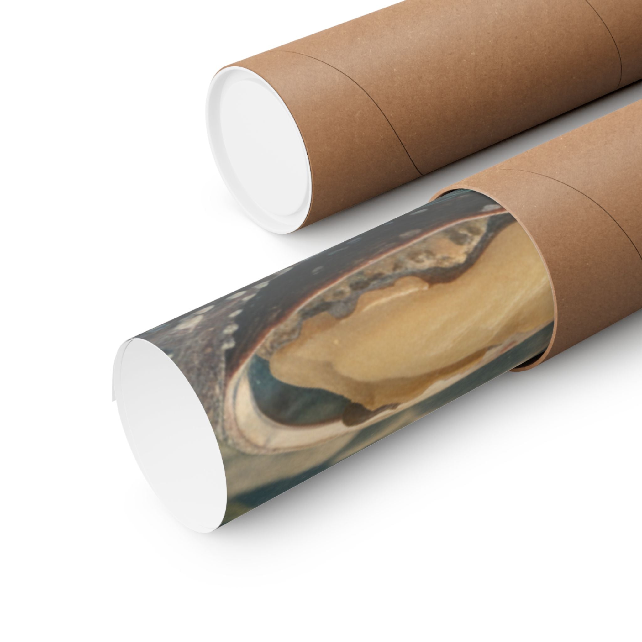 Scenic Nature — Shells Under Water — Matte Poster