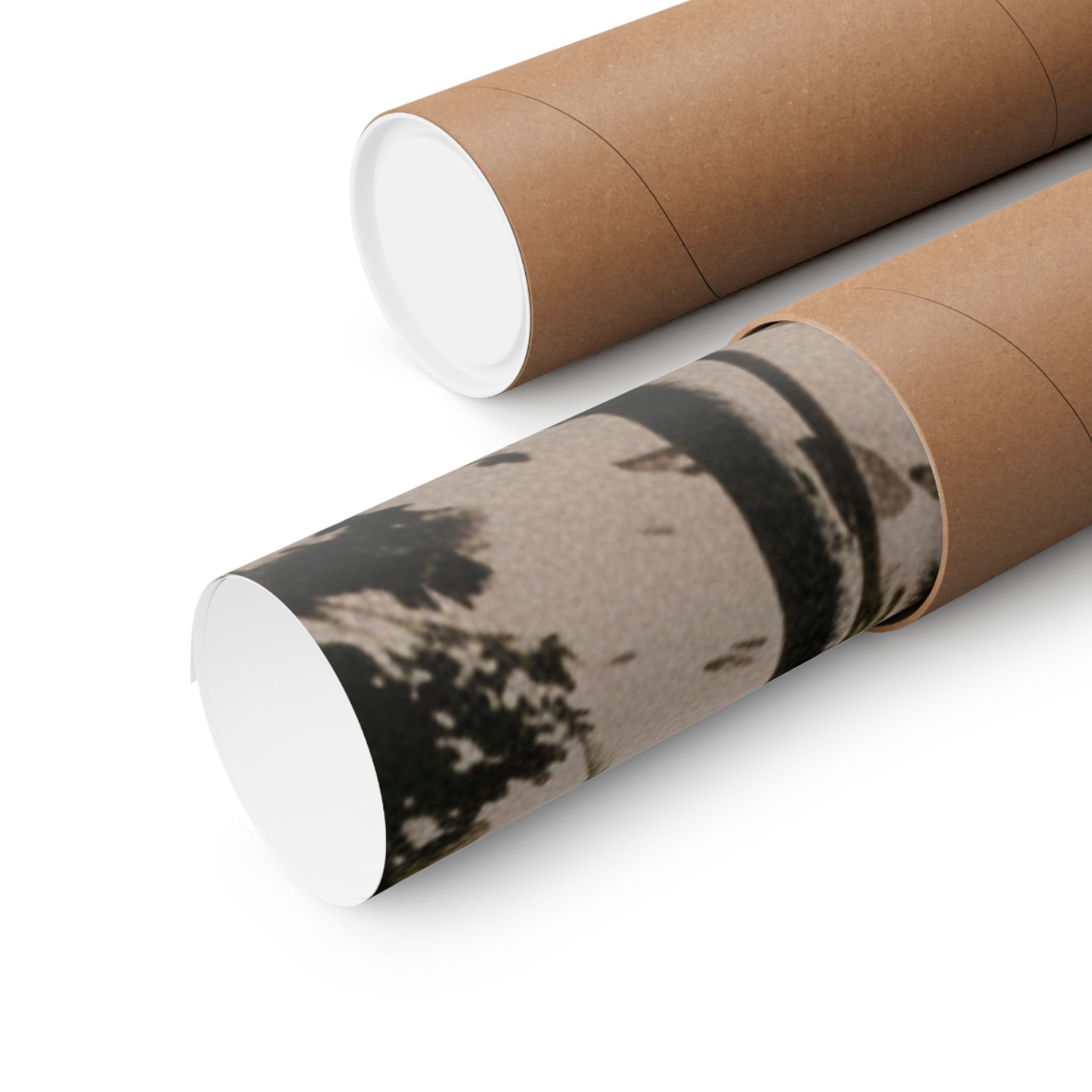 Cinematic — Palm — Matte Poster