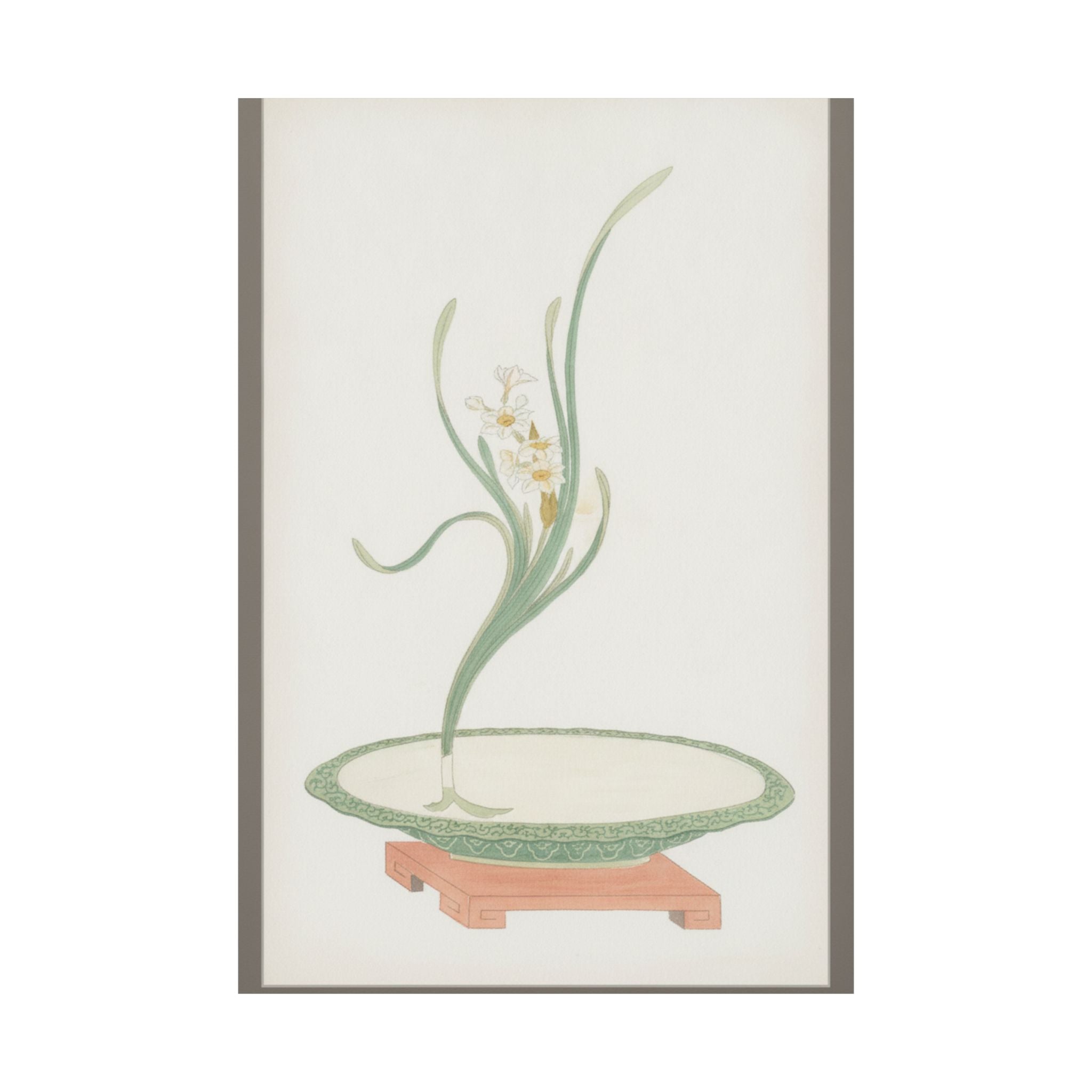 Watercolor — Flower Arrangement Of Suisen (Narcissus) In A Flat Green Dish — Matte Poster