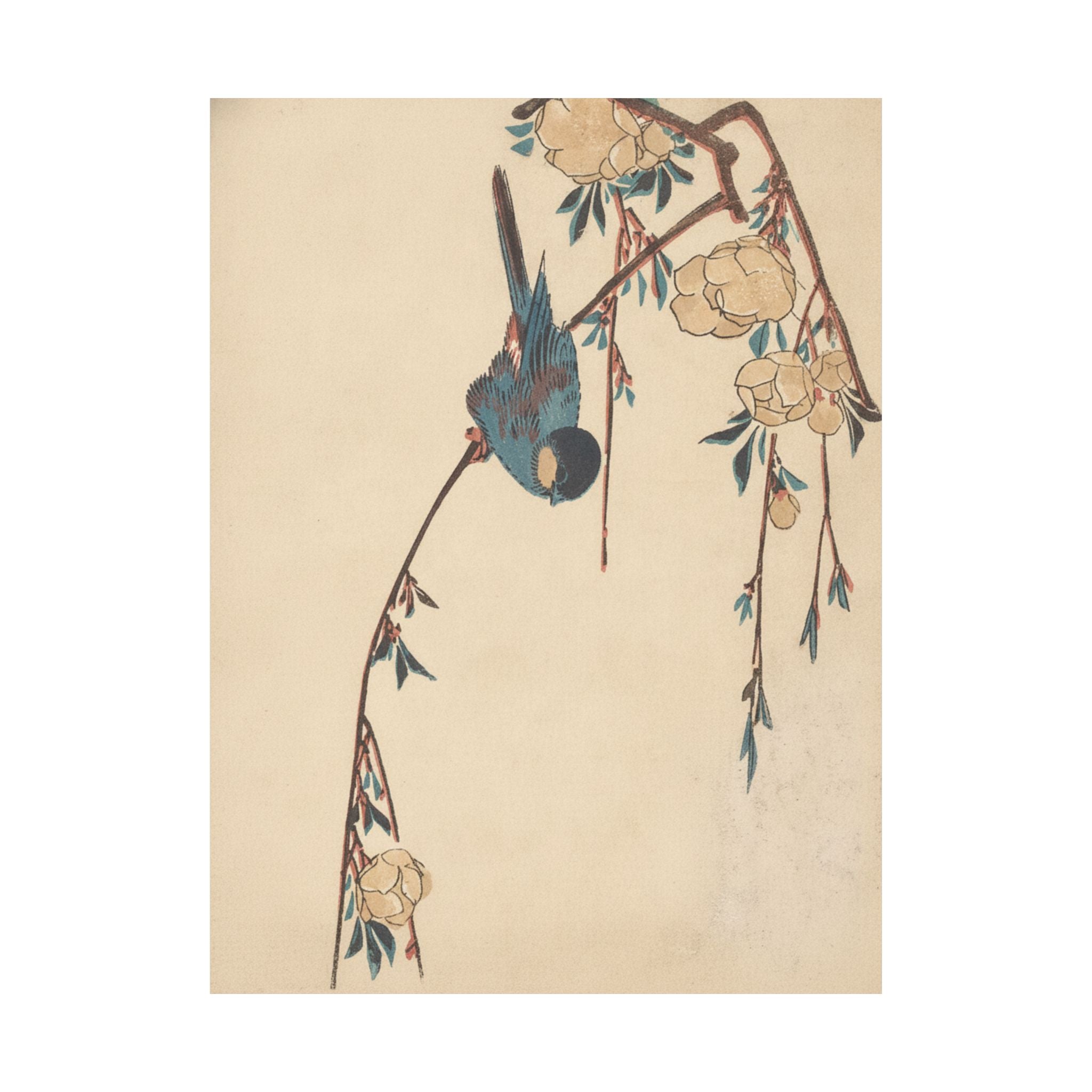 Botanical — Weeping Cherry — Matte Poster
