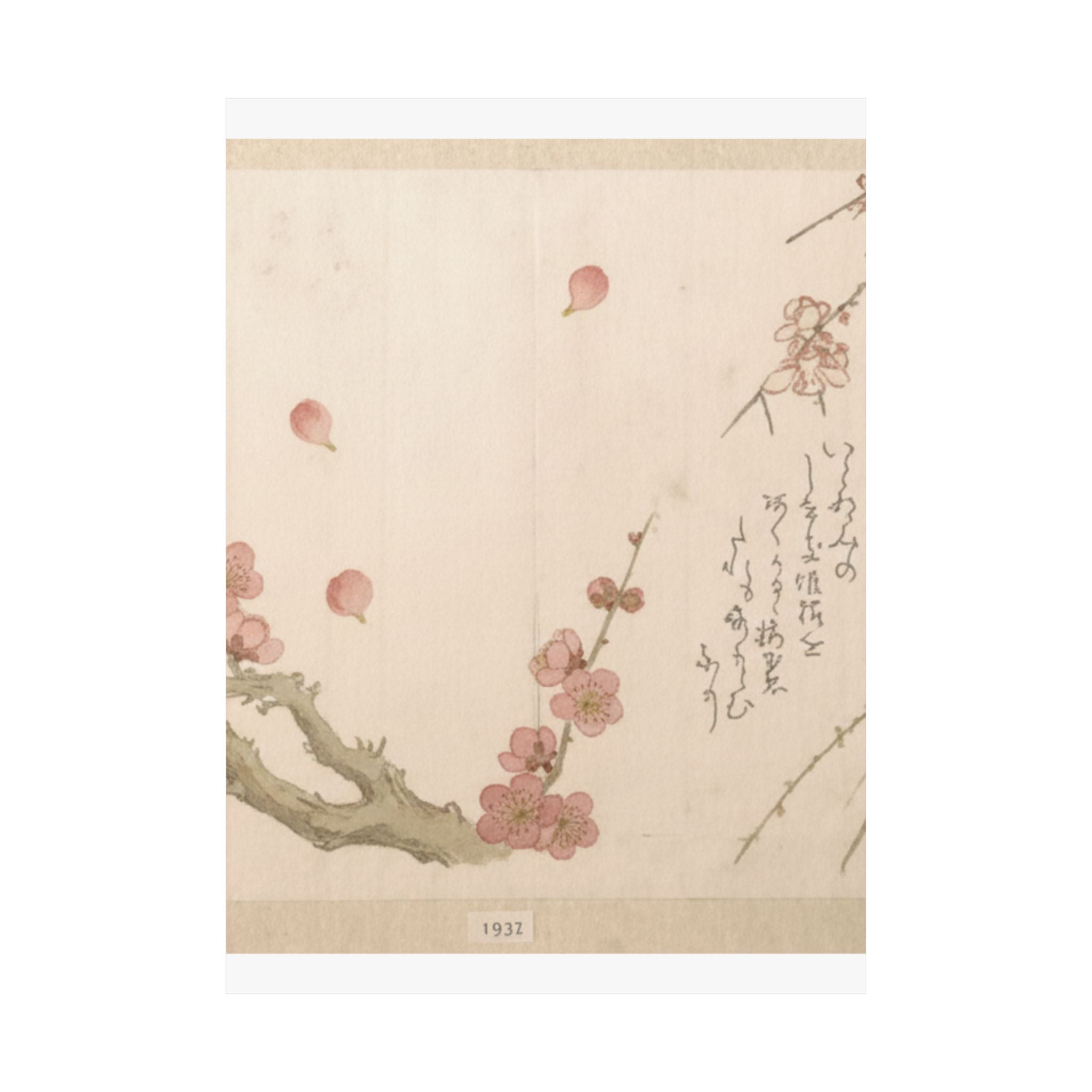 Botanical — Plum Blossom — Matte Poster