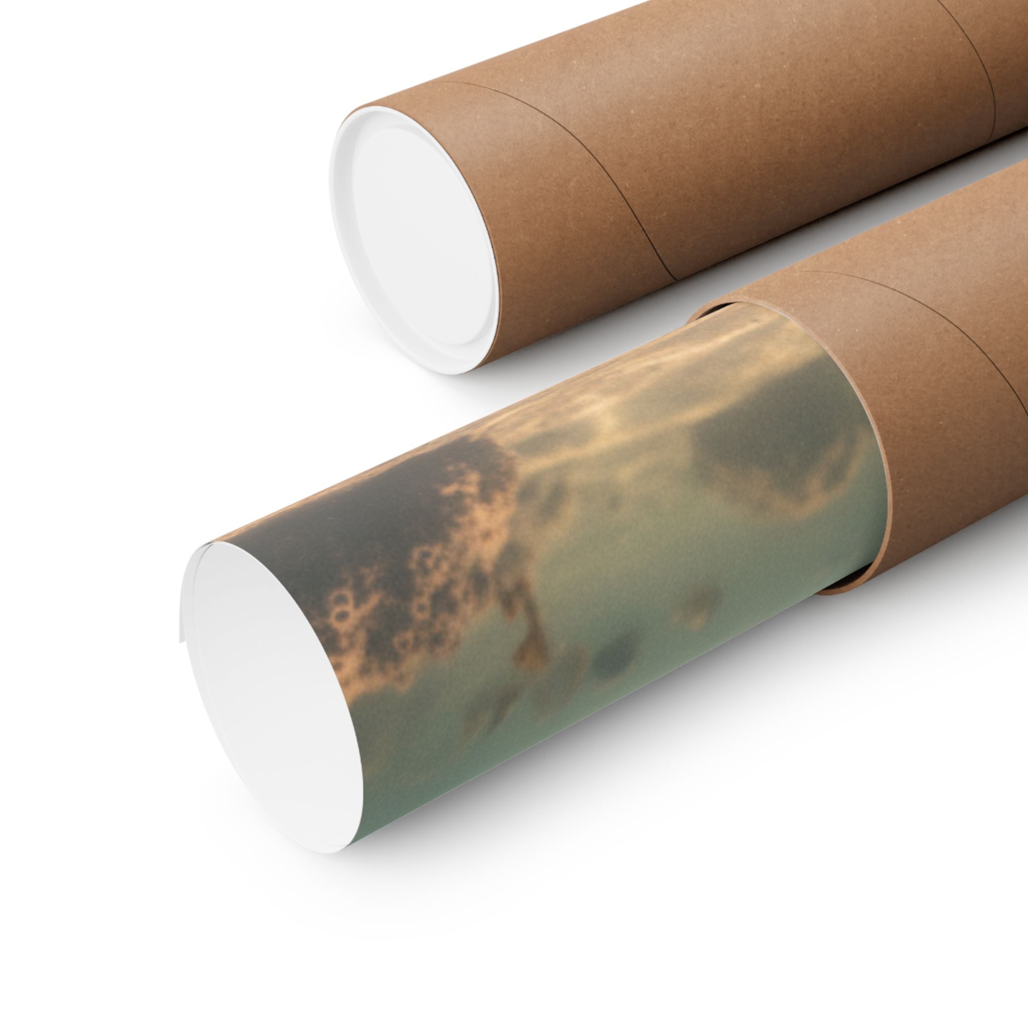 Scenic Nature — Shells Under Water — Matte Poster