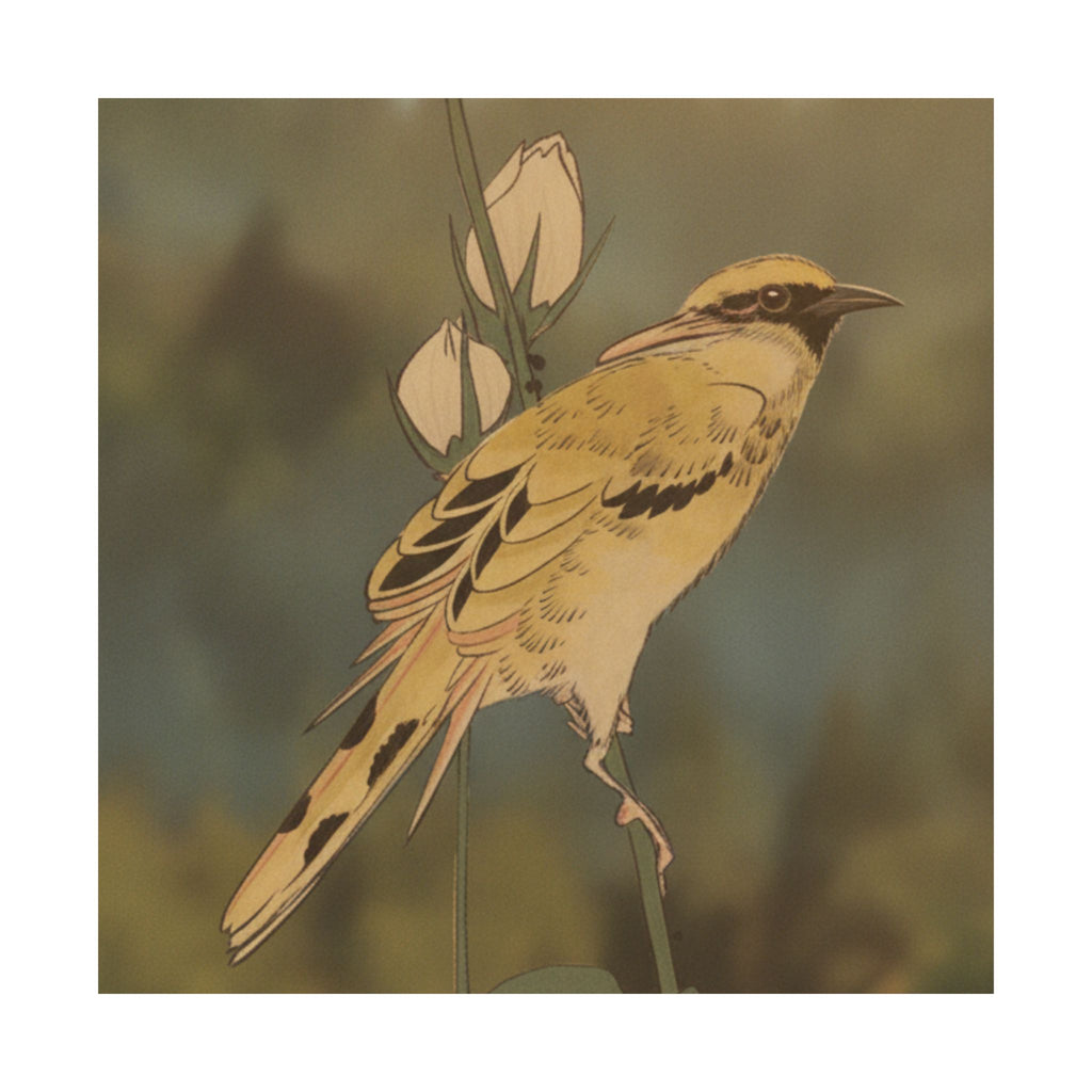 Scenic Nature — Black-Naped Oriole Perched On A Stem Of Rose Mallow — Matte Poster