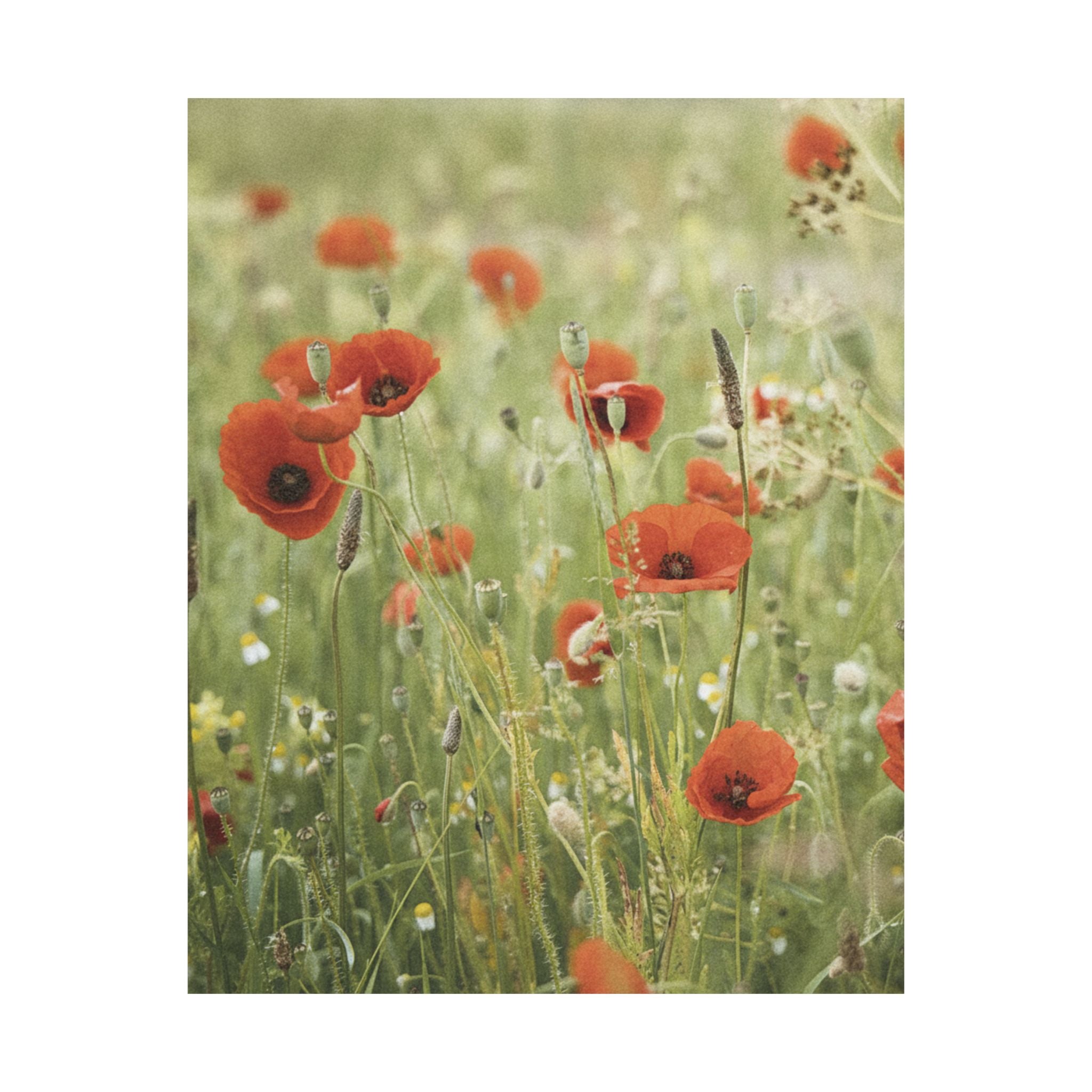 Watercolor — Flower — Matte Poster