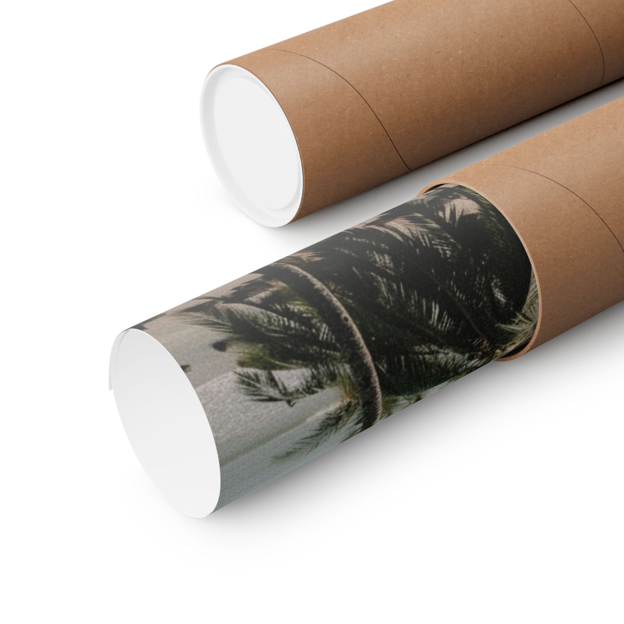 Cinematic — Palm — Matte Poster