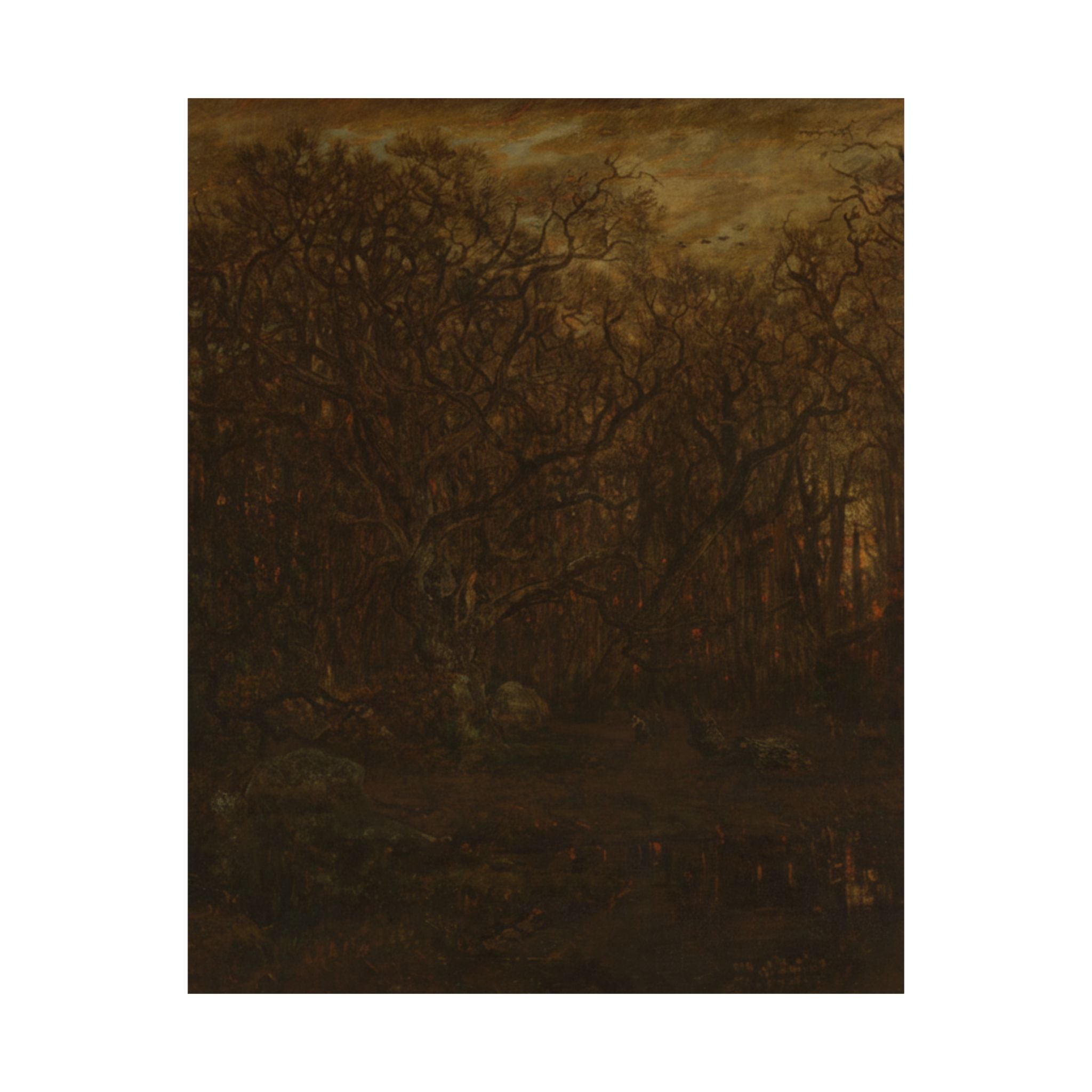 Scenic Nature — Forest — Matte Poster