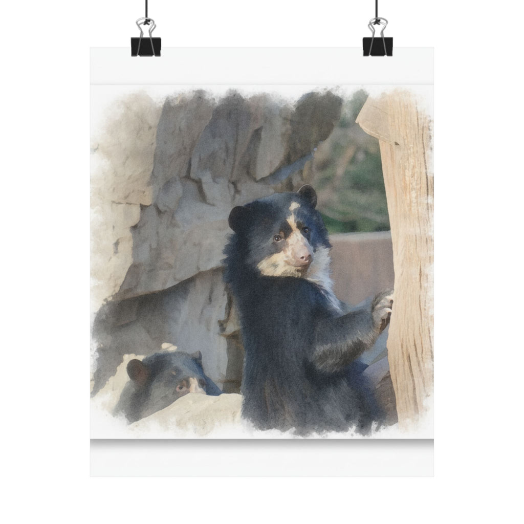 Watercolor — Bear — Matte Poster