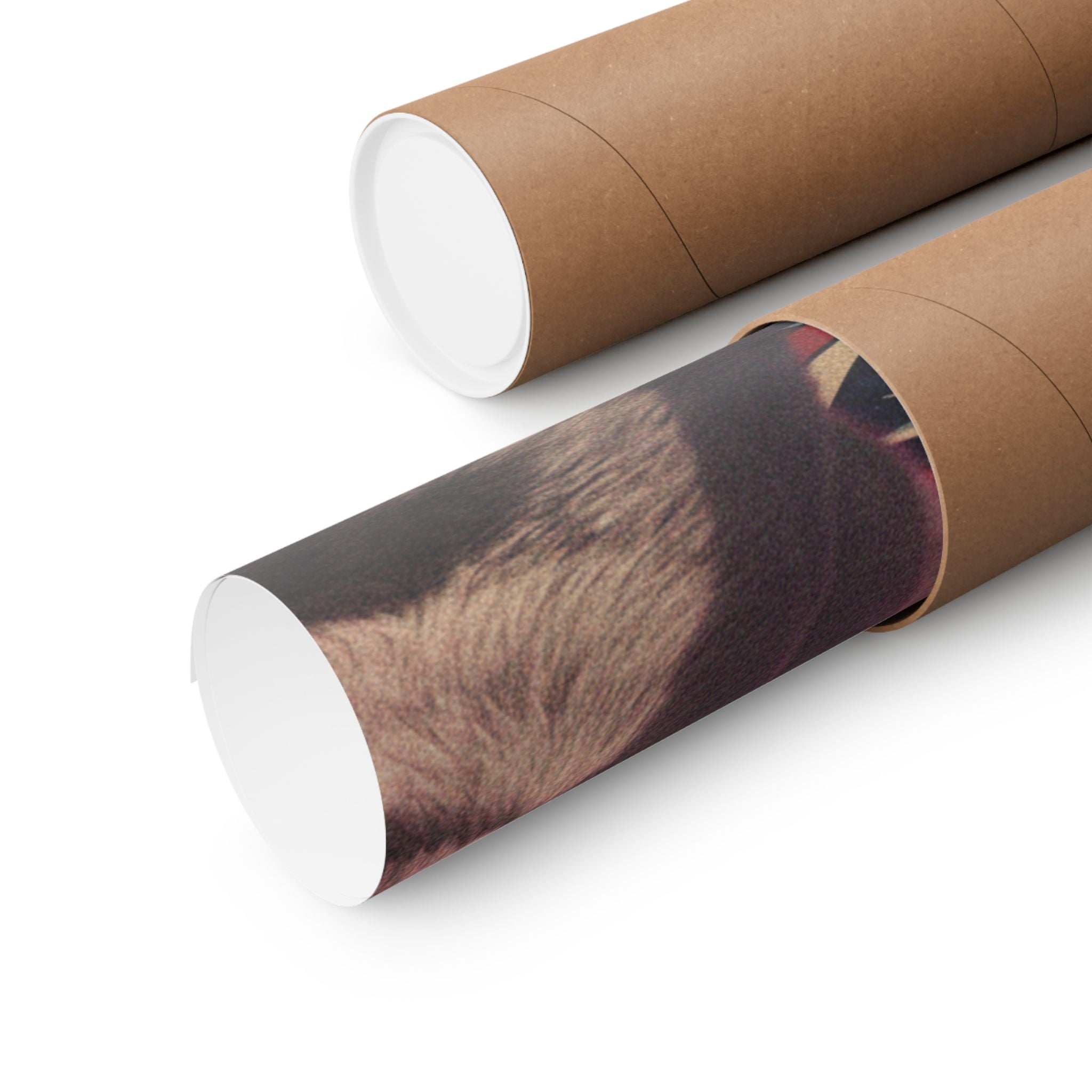 Japanese Street — Dog — Matte Poster
