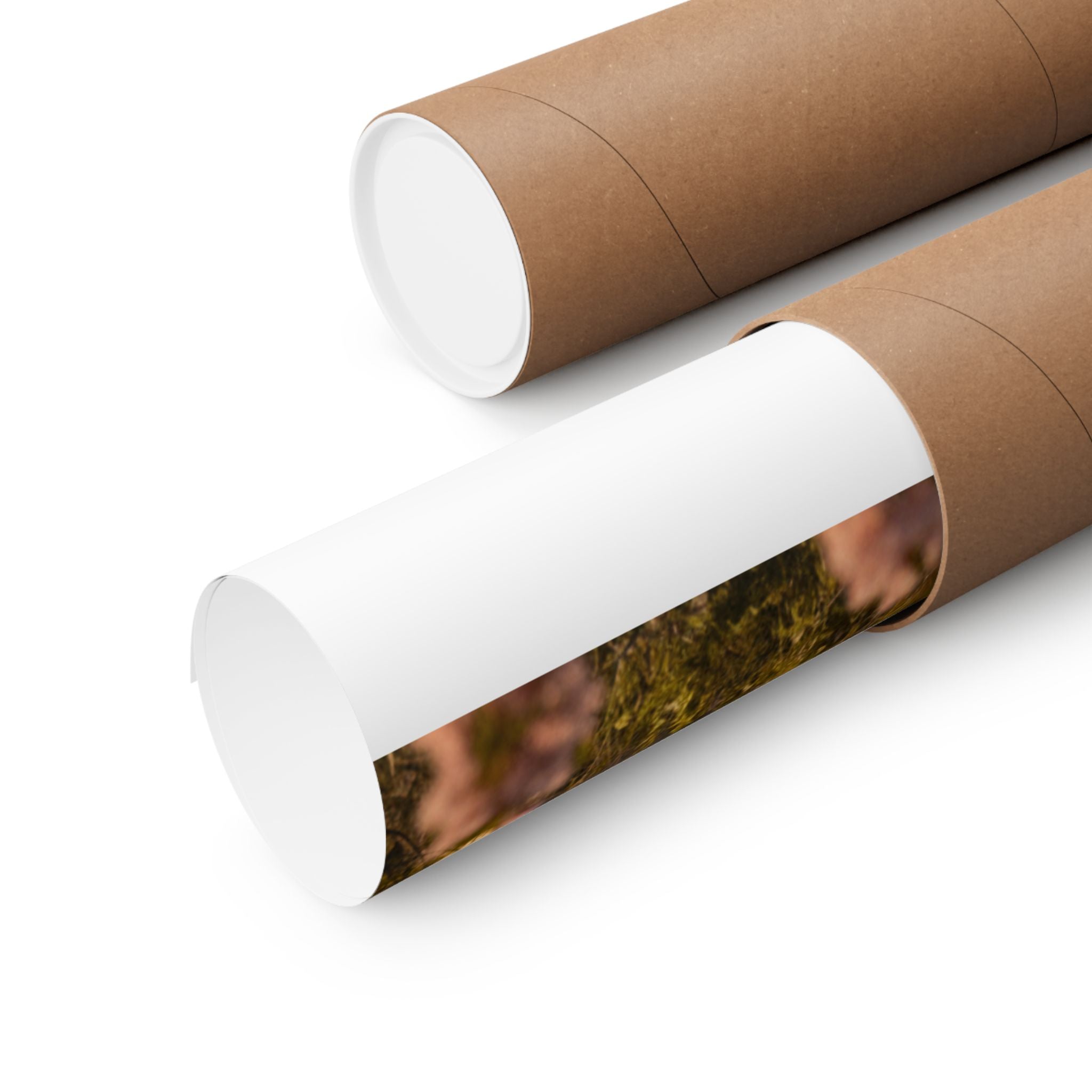 Scenic Nature — Fortress — Matte Poster