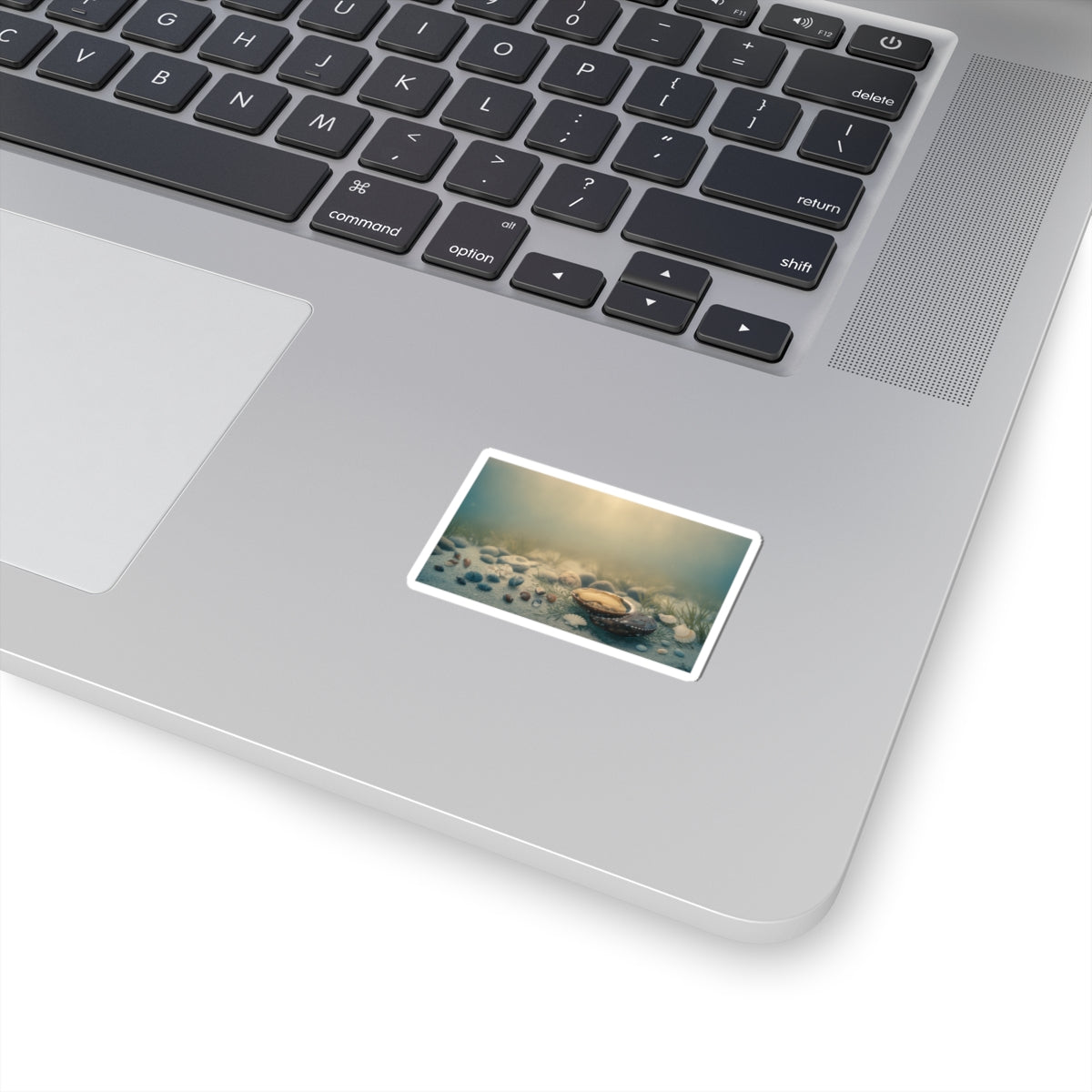 Scenic Nature — Shells Under Water — Kiss-Cut Sticker