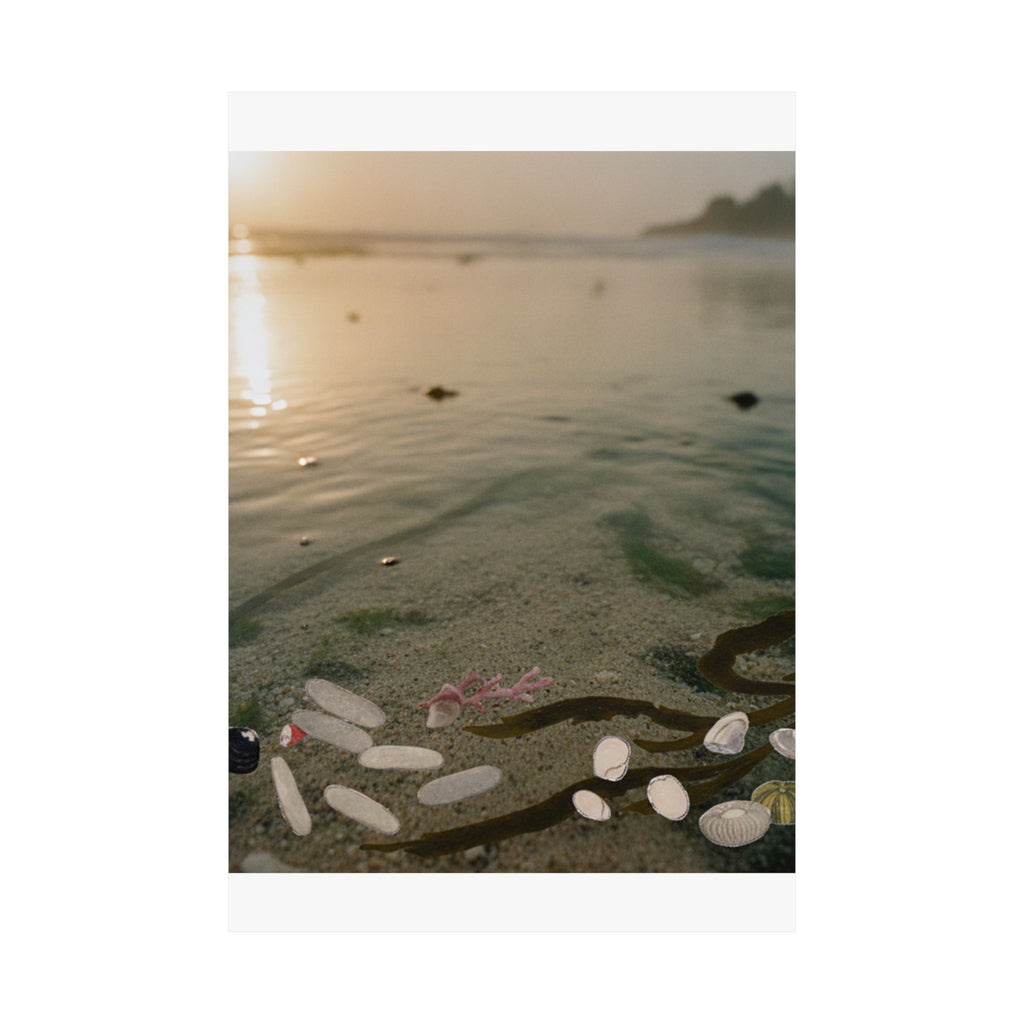 Scenic Nature — Shells Under Water — Matte Poster