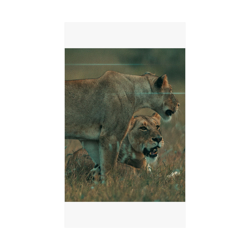 Cinematic — Lions — Matte Poster