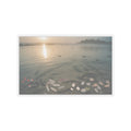 Scenic Nature — Shells Under Water — Kiss-Cut Sticker