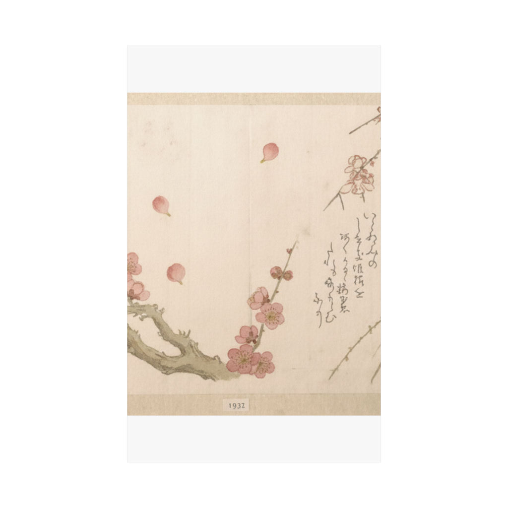 Botanical — Plum Blossom — Matte Poster