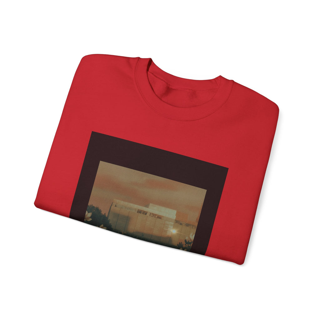 STEEL & SOUL crewneck sweatshirt — product view 23