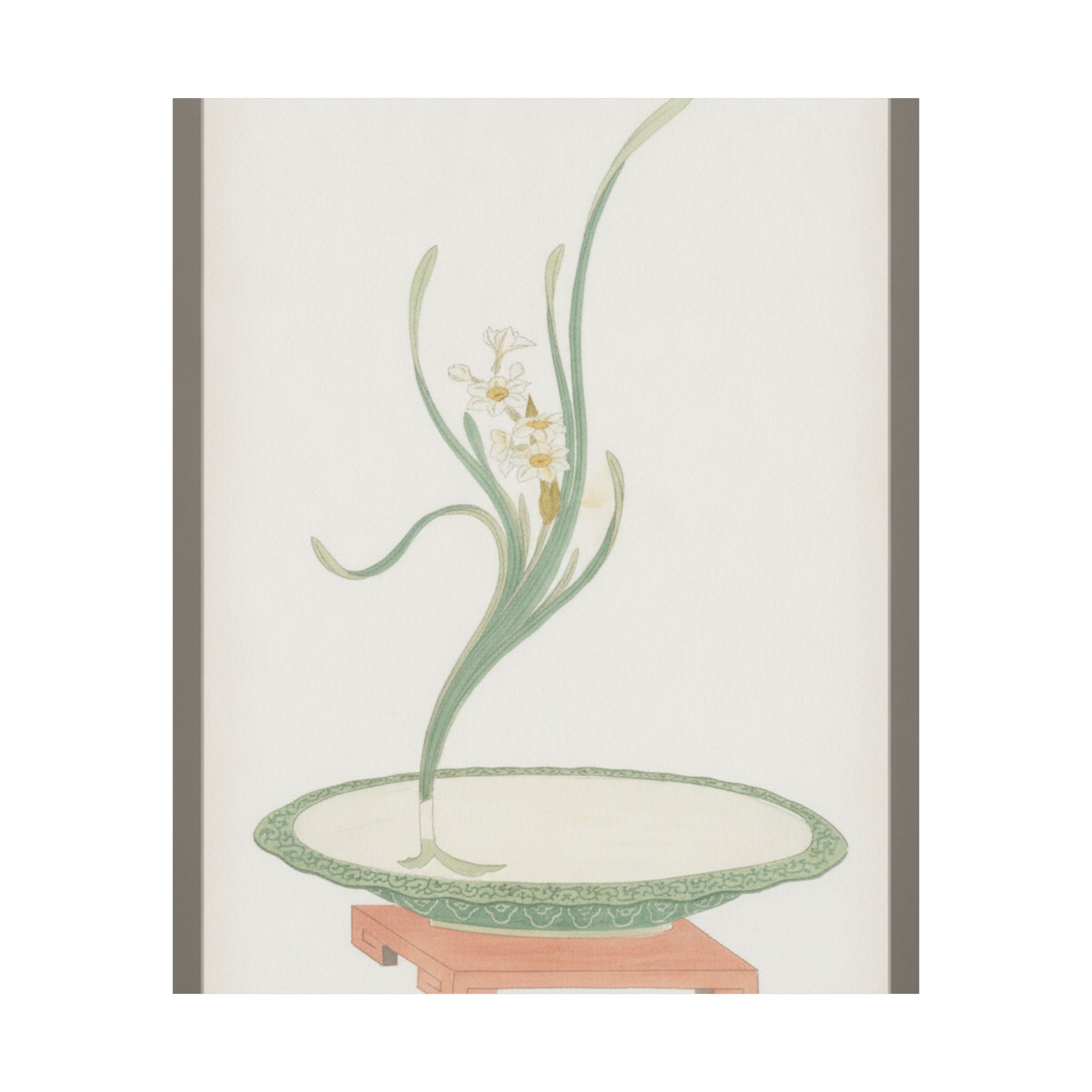 Watercolor — Flower Arrangement Of Suisen (Narcissus) In A Flat Green Dish — Matte Poster