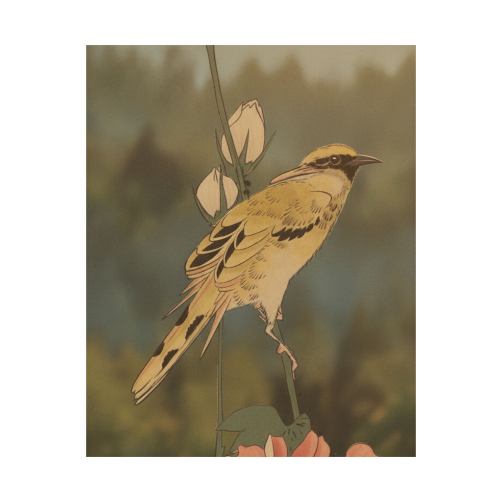 Scenic Nature — Black-Naped Oriole Perched On A Stem Of Rose Mallow — Matte Poster