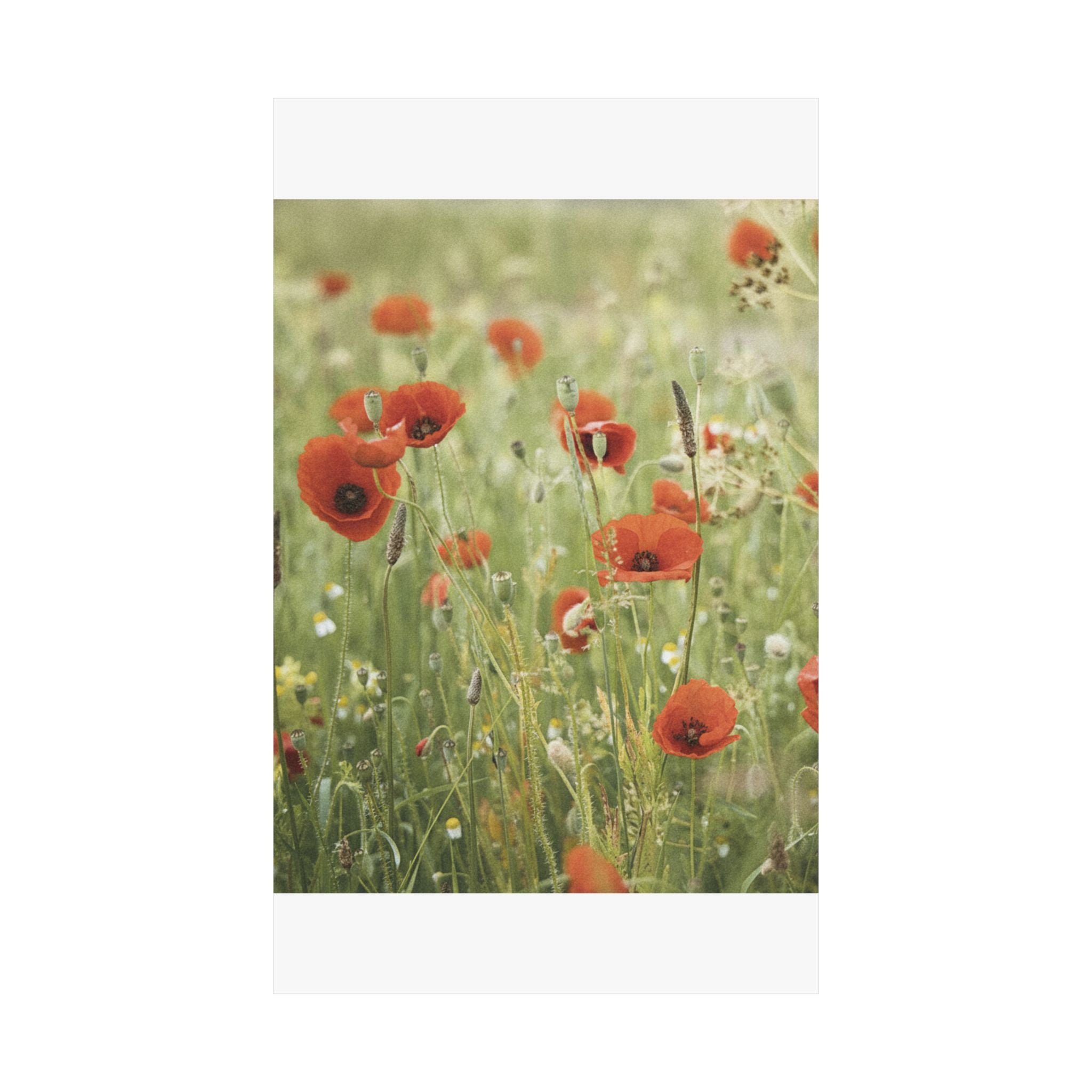 Watercolor — Flower — Matte Poster