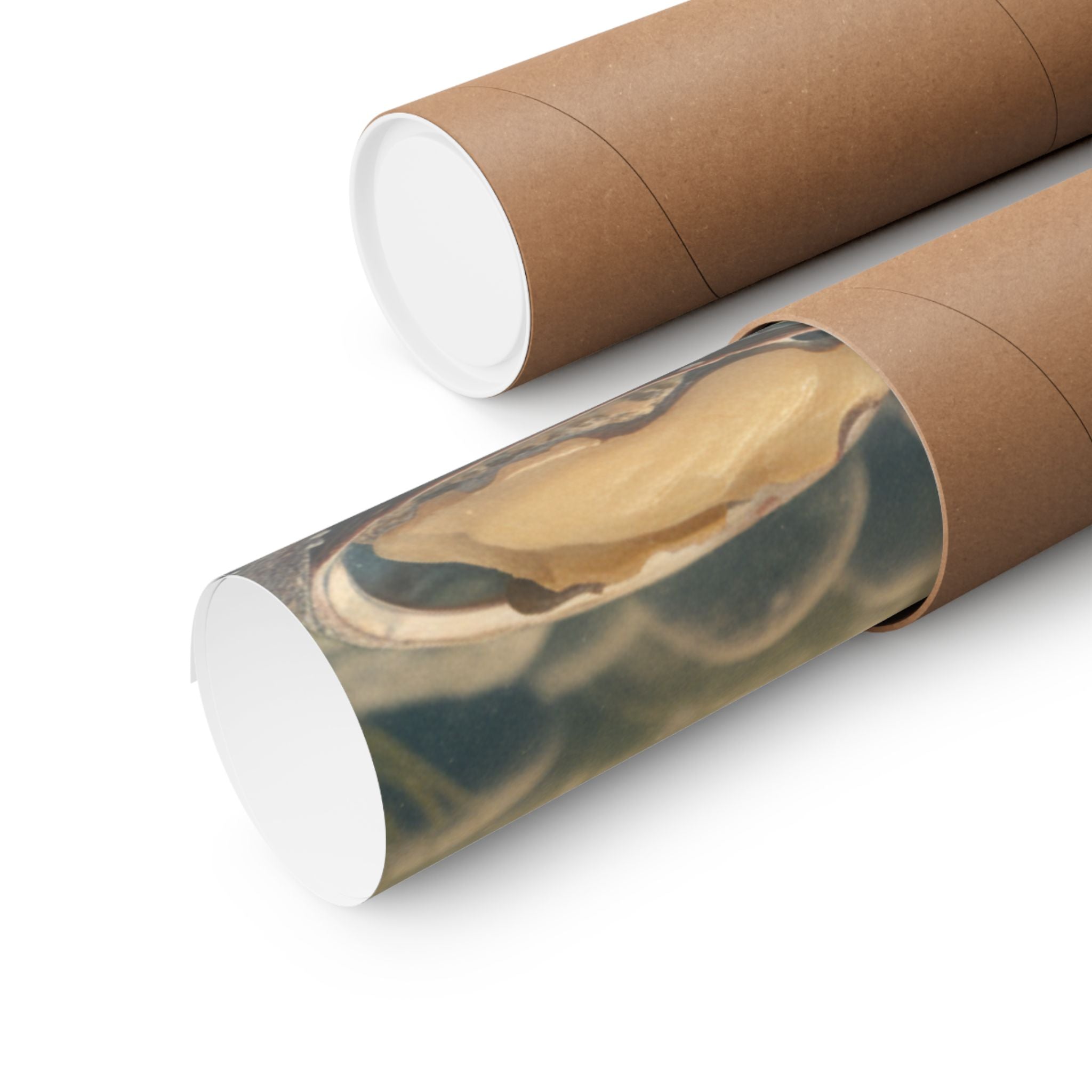 Scenic Nature — Shells Under Water — Matte Poster