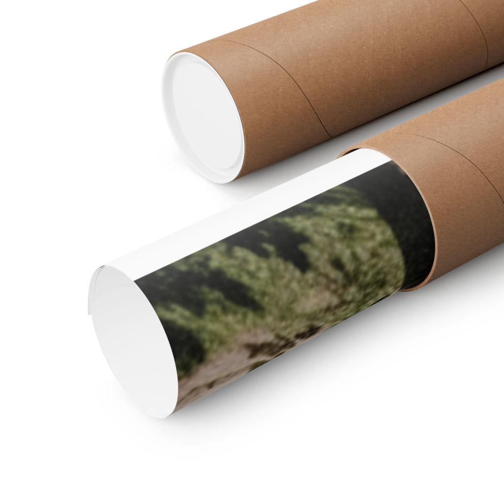 Cinematic — Palm — Matte Poster