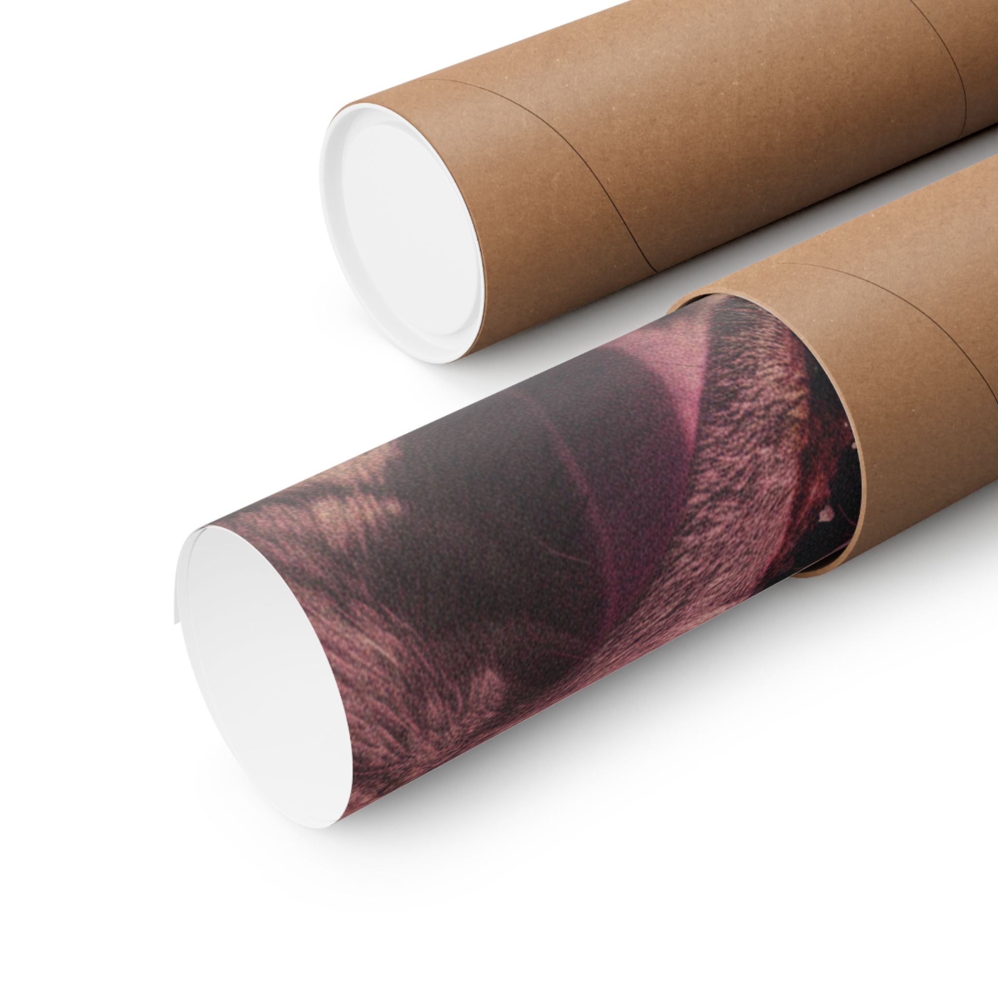 Japanese Street — Dog — Matte Poster