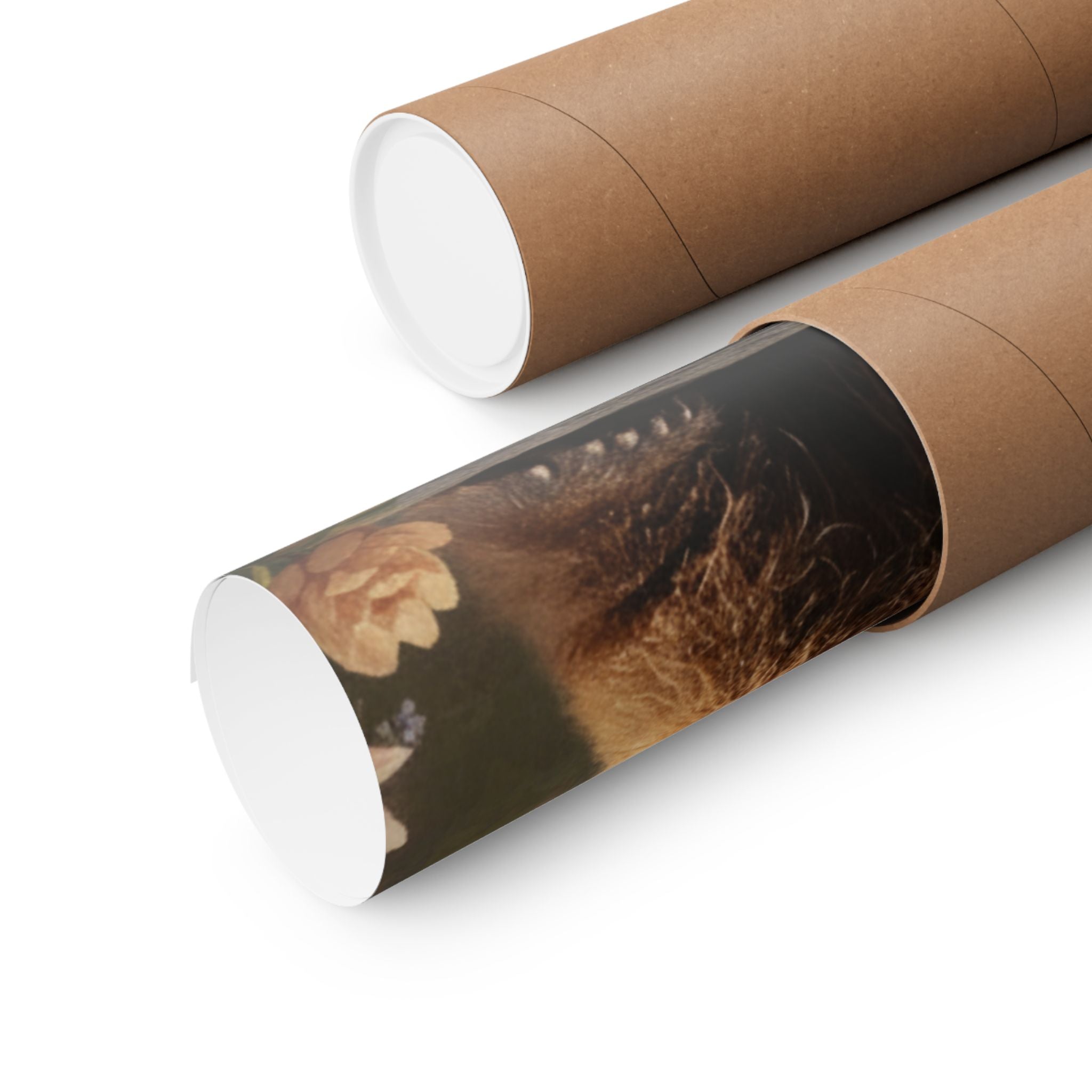 Scenic Nature — Bear — Matte Poster
