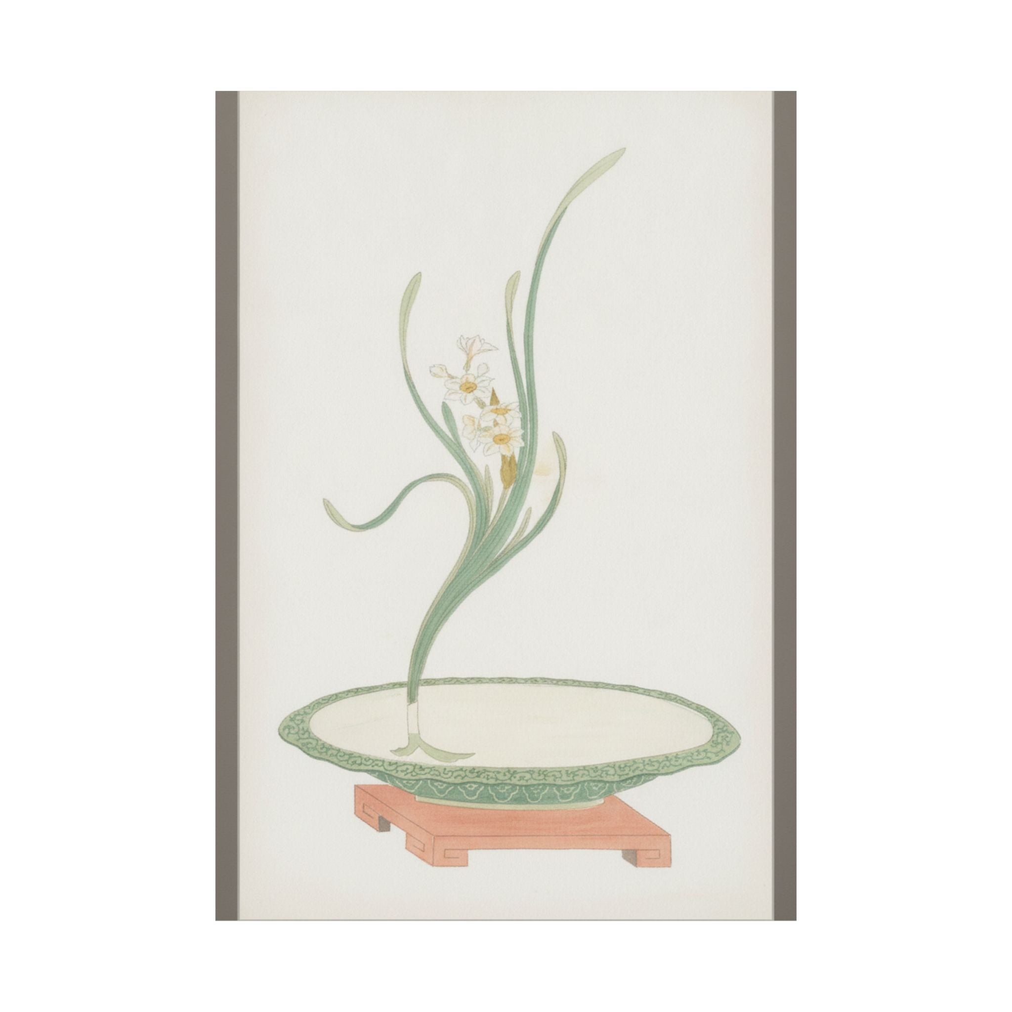 Watercolor — Flower Arrangement Of Suisen (Narcissus) In A Flat Green Dish — Matte Poster