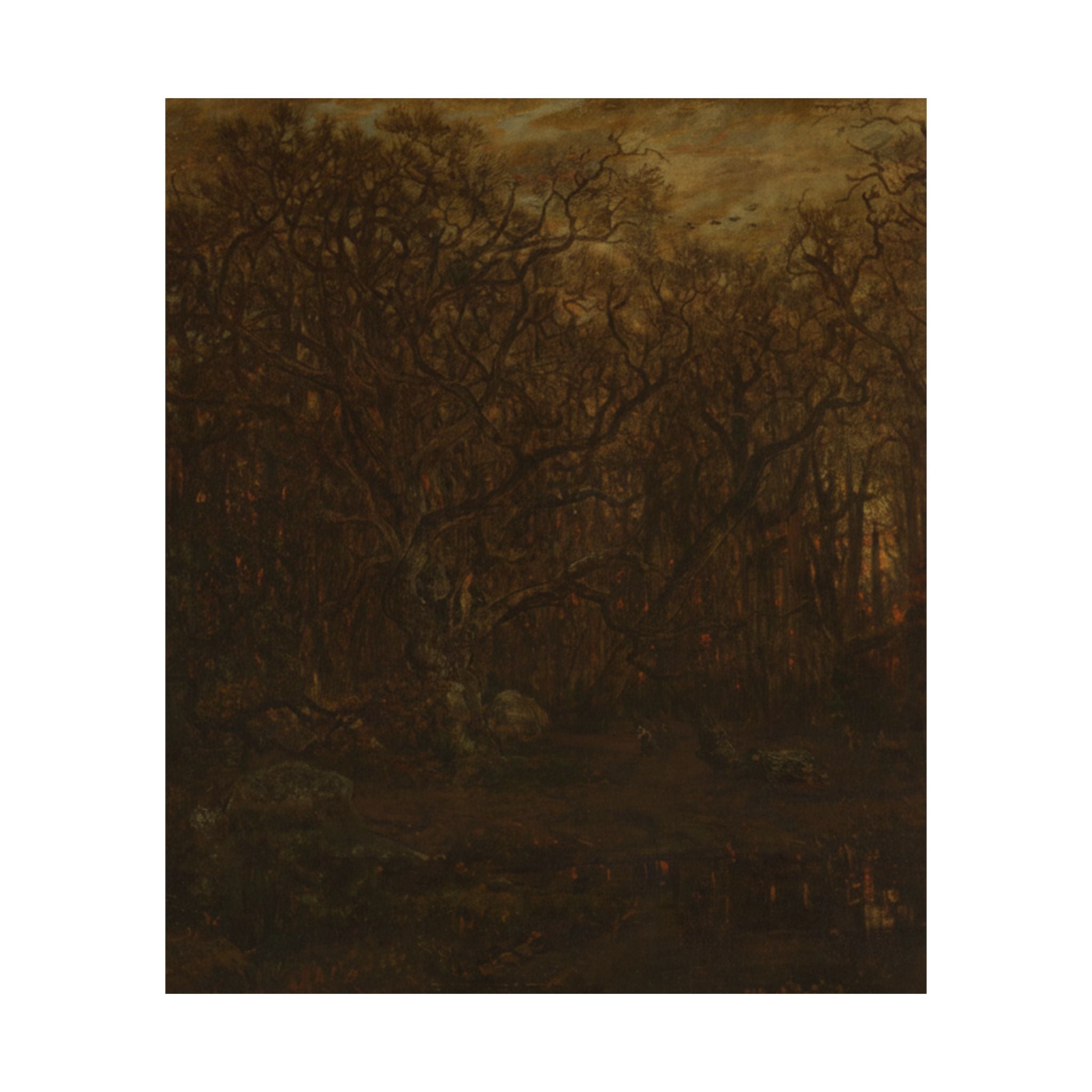Scenic Nature — Forest — Matte Poster