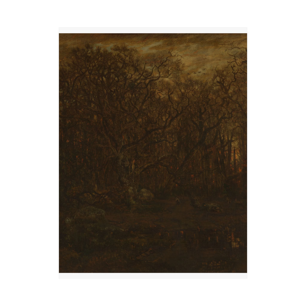 Scenic Nature — Forest — Matte Poster